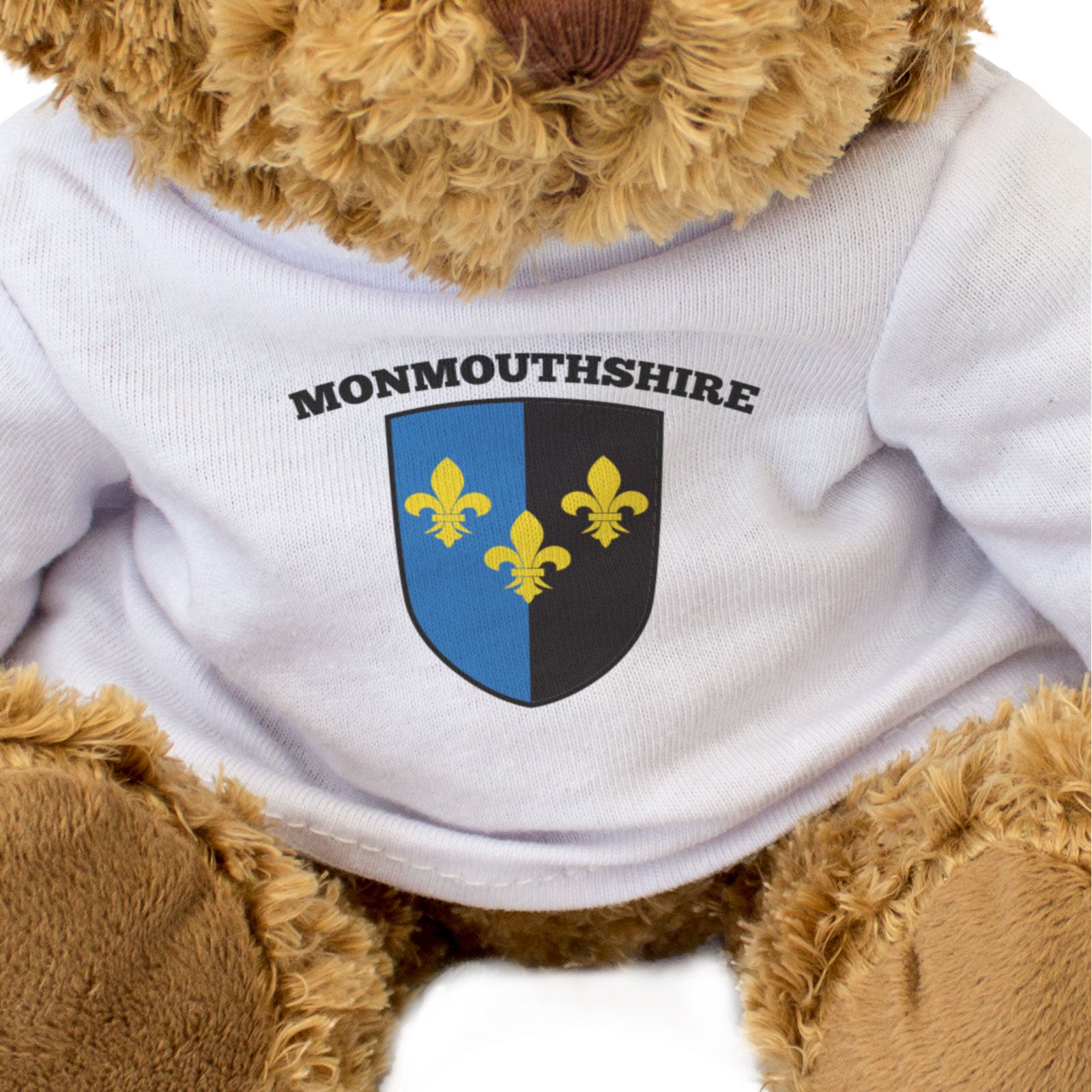 MONMOUTHSHIRE FLAG - Teddy Bear - Cute Cuddly Soft - Wales Gift Present