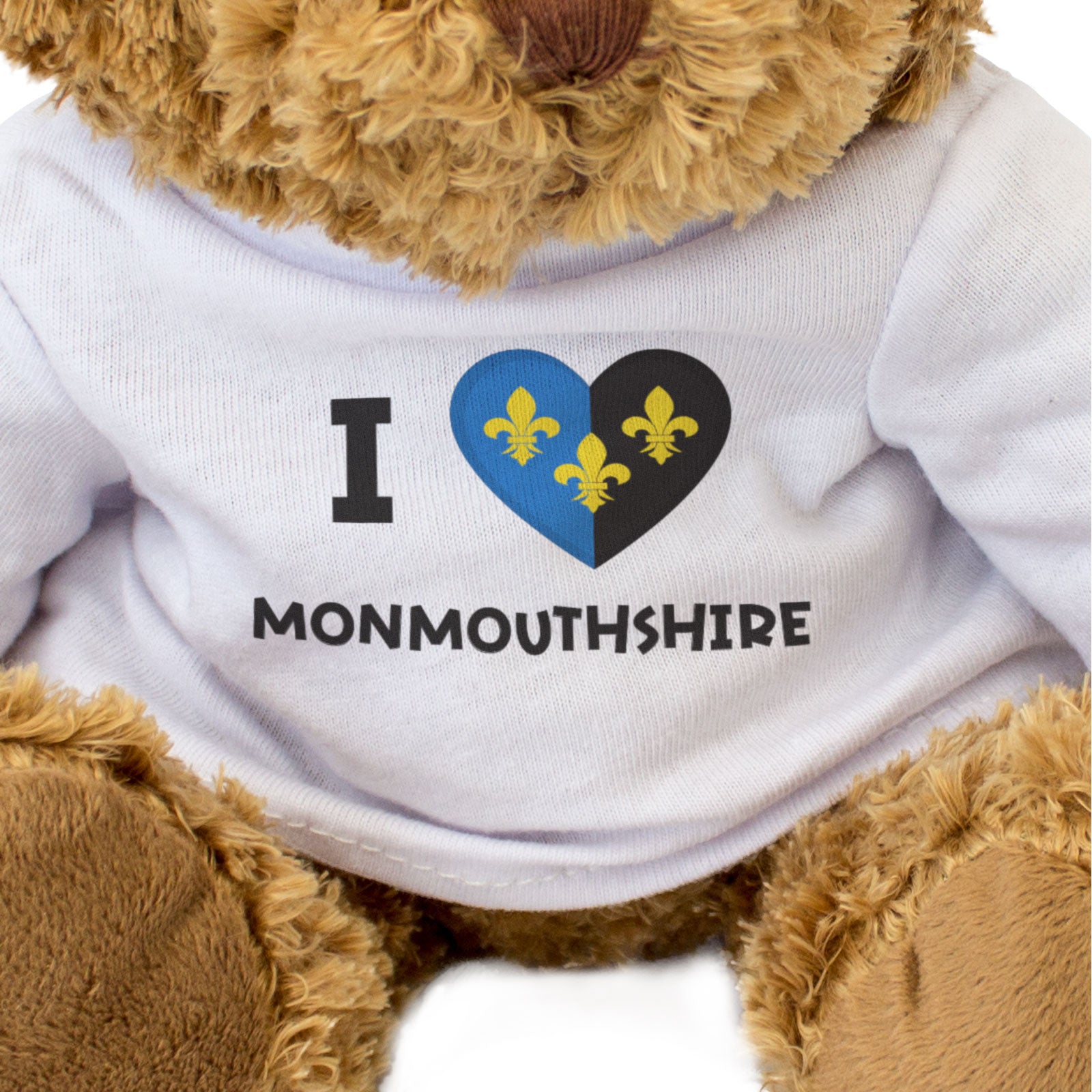 I LOVE MONMOUTHSHIRE FLAG - Teddy Bear - Cute Funny Welsh Gift Present