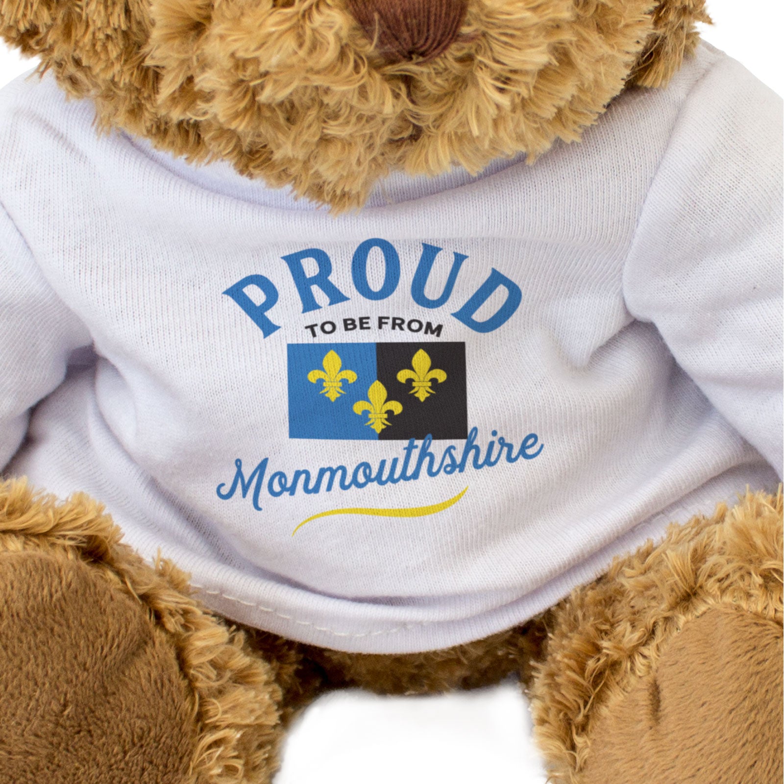 PROUD TO BE FROM MONMOUTHSHIRE - Teddy Bear - Cute Funny Welsh Gift Present