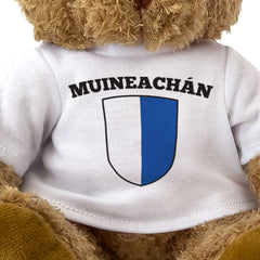 MUINEACHÁN (MONAGHAN) COUNTY COLOURS - Teddy Bear - Ireland Gaeilge Gift Present