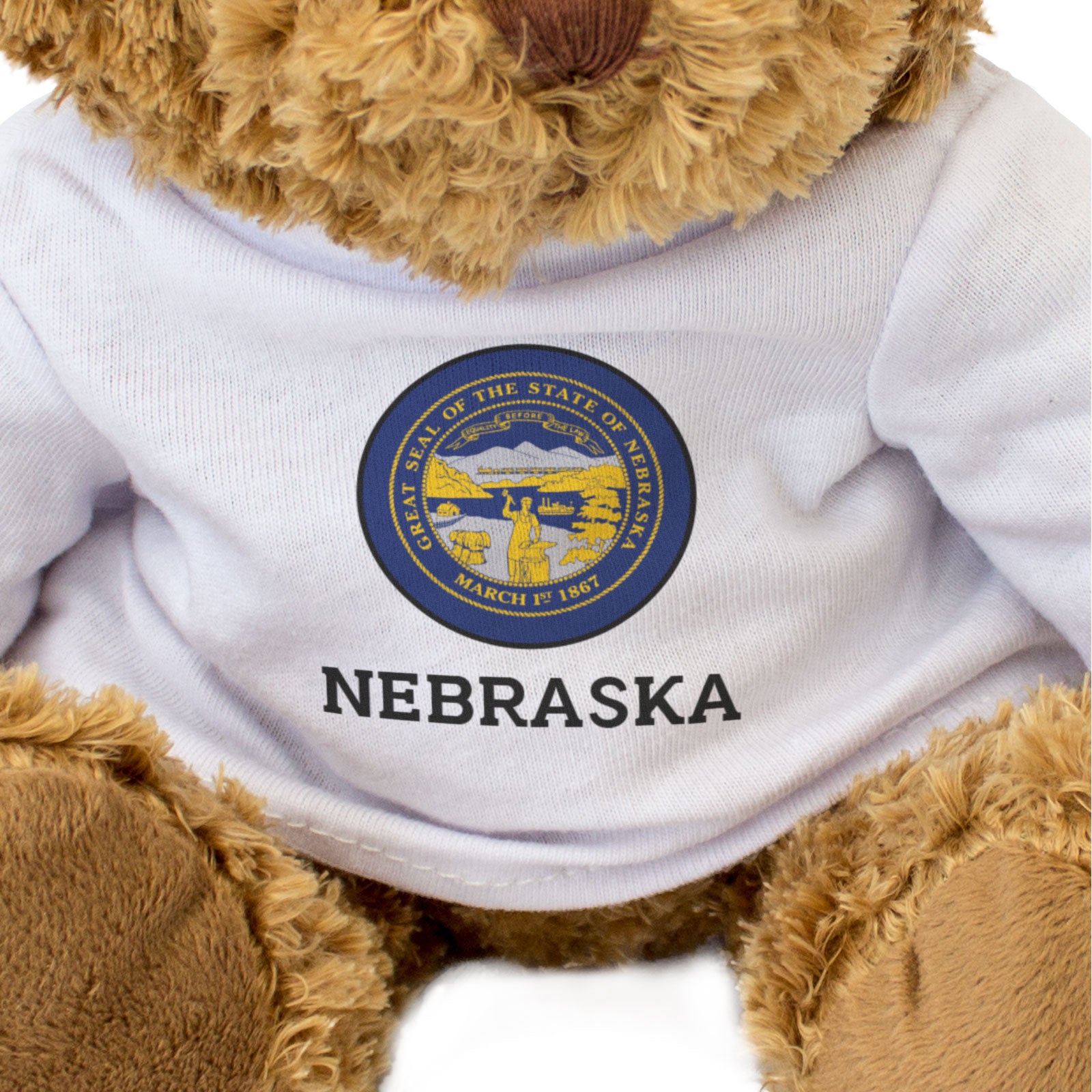NEBRASKA FLAG ROUNDEL - Teddy Bear - Cute Cuddly Soft - USA Gift Present