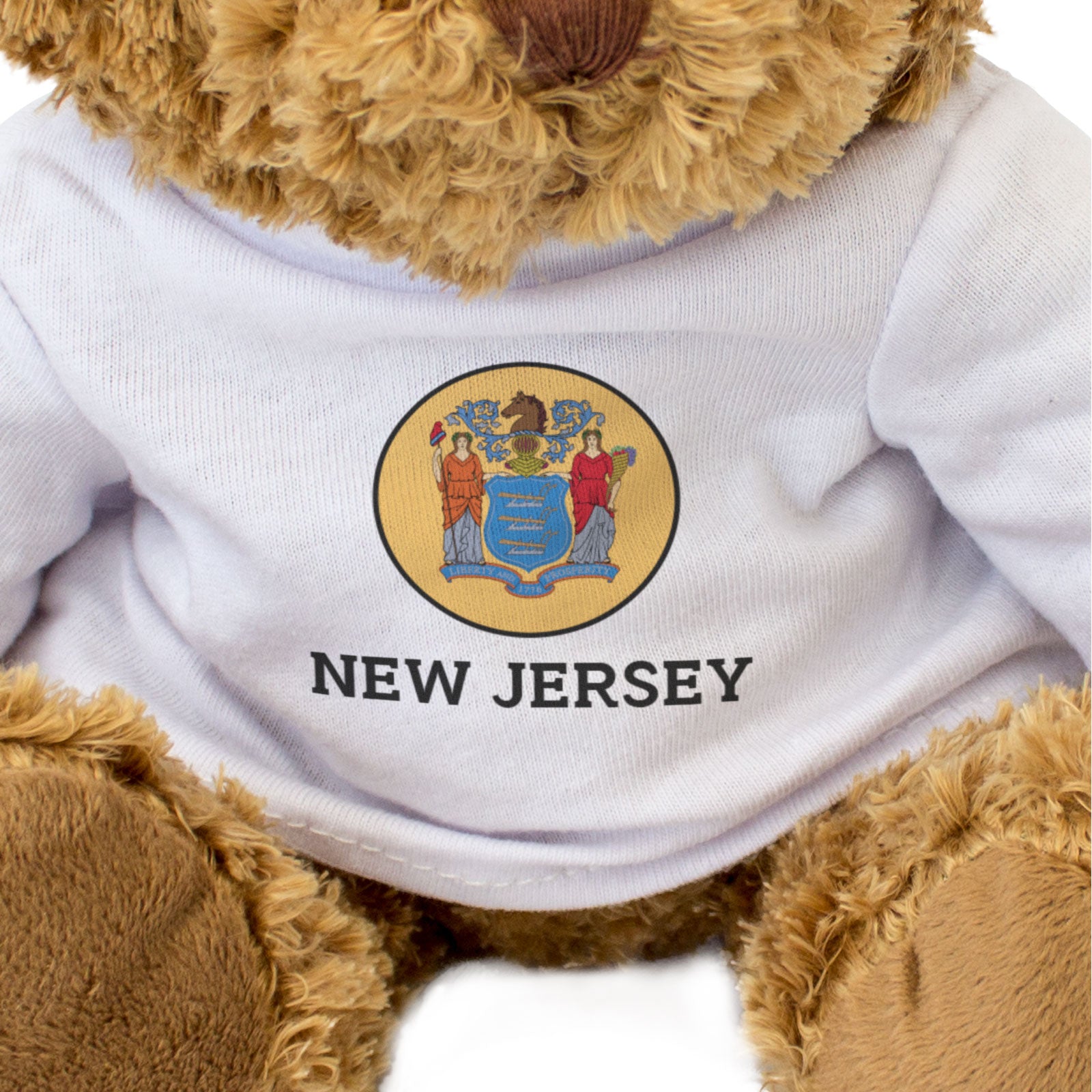 NEW JERSEY FLAG ROUNDEL - Teddy Bear - Cute Cuddly Soft - USA Gift Present