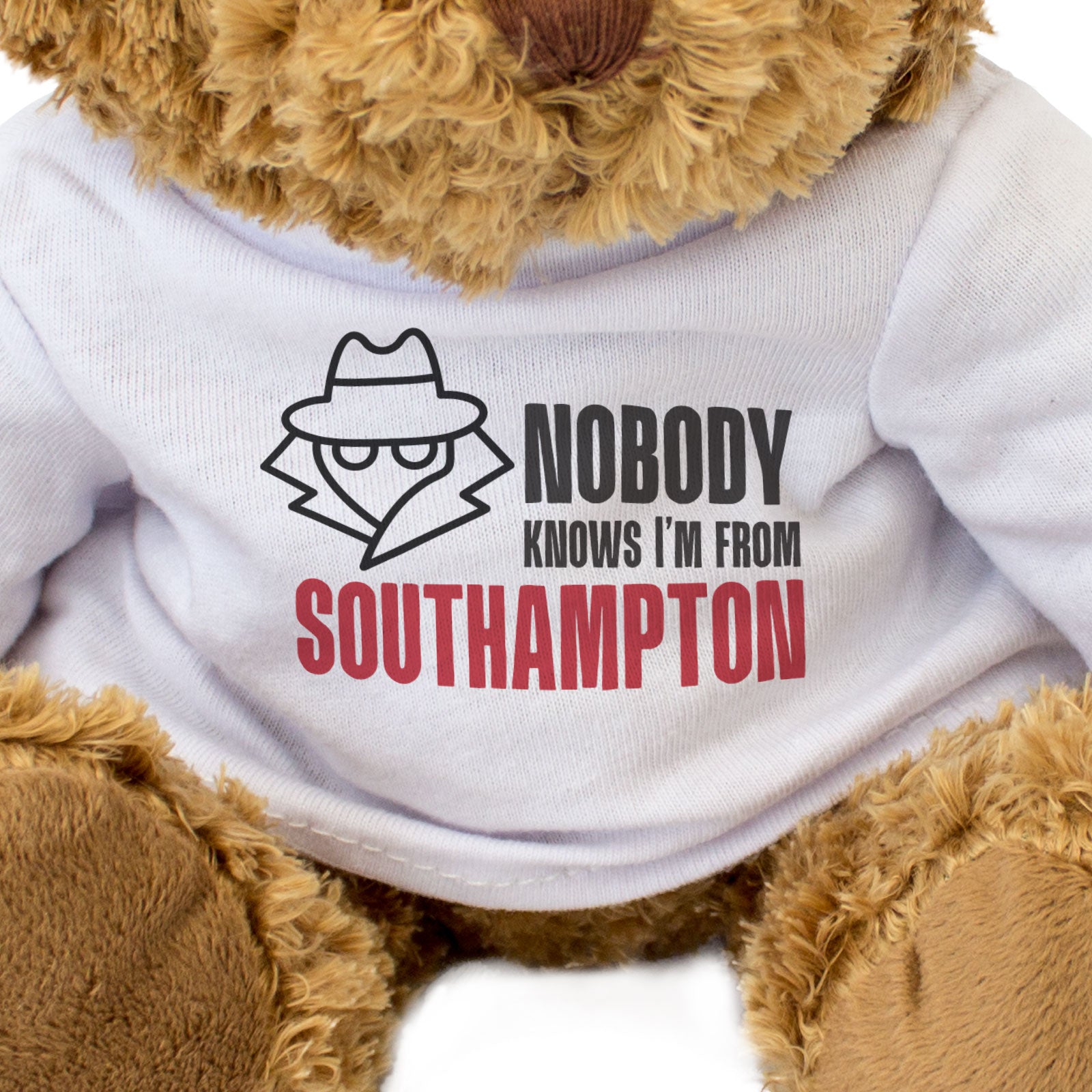 NOBODY KNOWS I'M FROM SOUTHAMPTON (SPY) - Teddy Bear - Funny Play-Off Final Gift