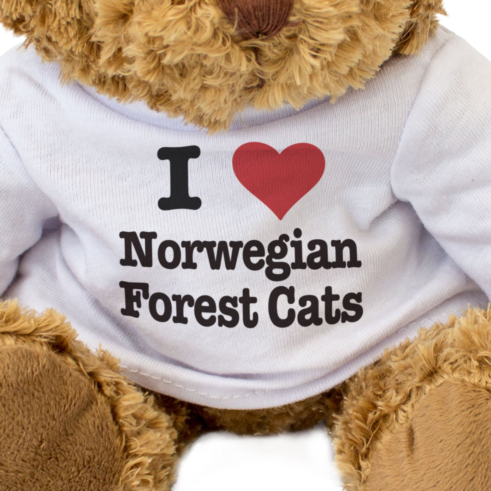 I LOVE NORWEGIAN FOREST CATS - Teddy Bear - Cute Cuddly Soft - Gift Present