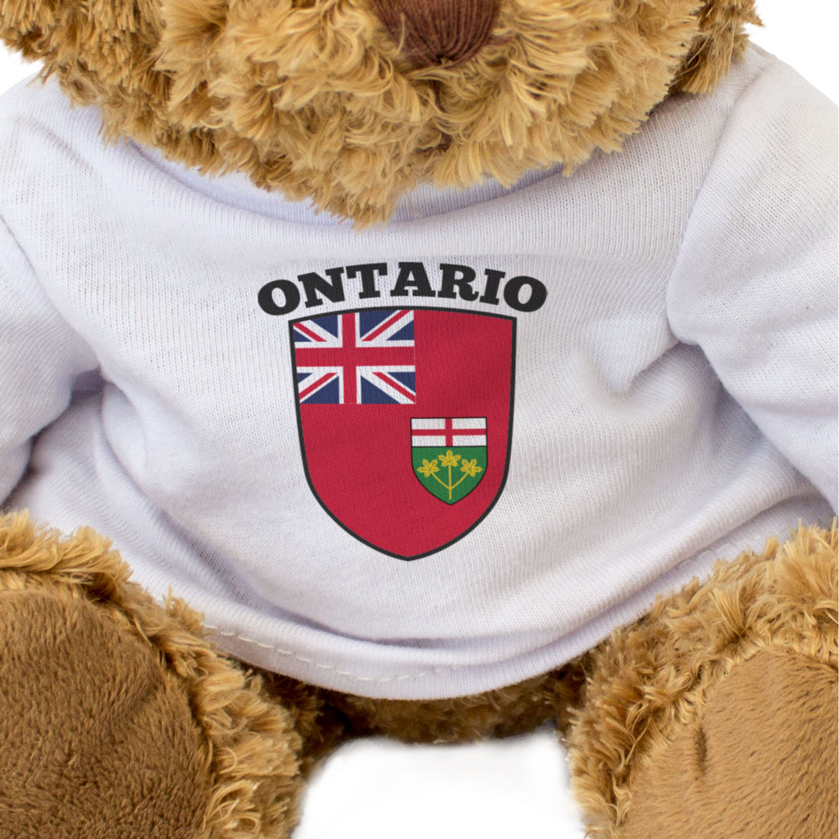 Ontario Flag - Teddy Bear - Canada Gift Present