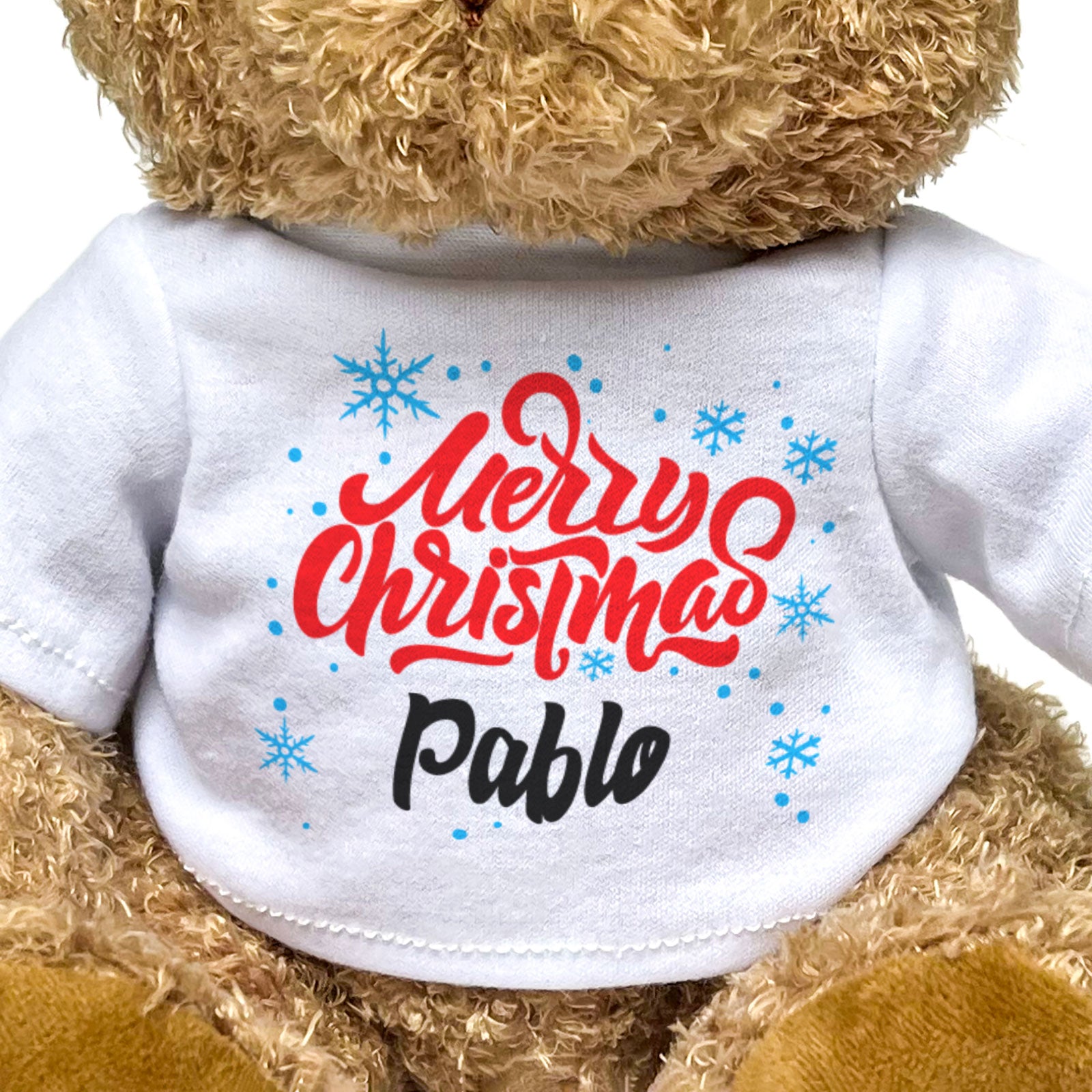 MERRY CHRISTMAS PABLO - Teddy Bear - Cute Cuddly Soft - Xmas Gift Present