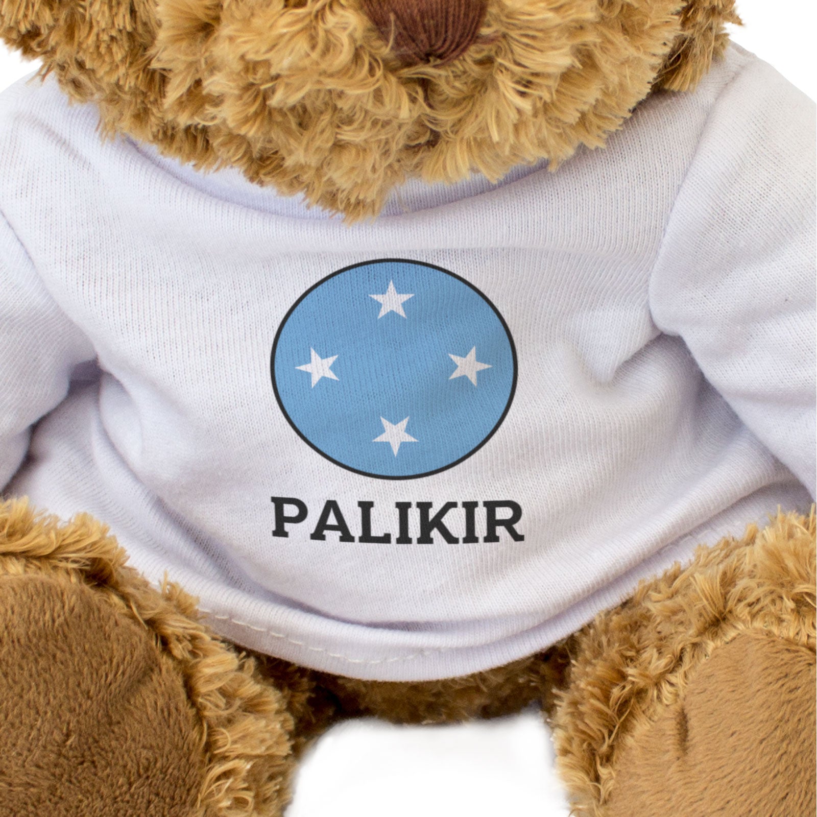 PALIKIR (MICRONESIA FLAG ROUNDEL) - Teddy Bear - Cute - Souvenir Gift Present