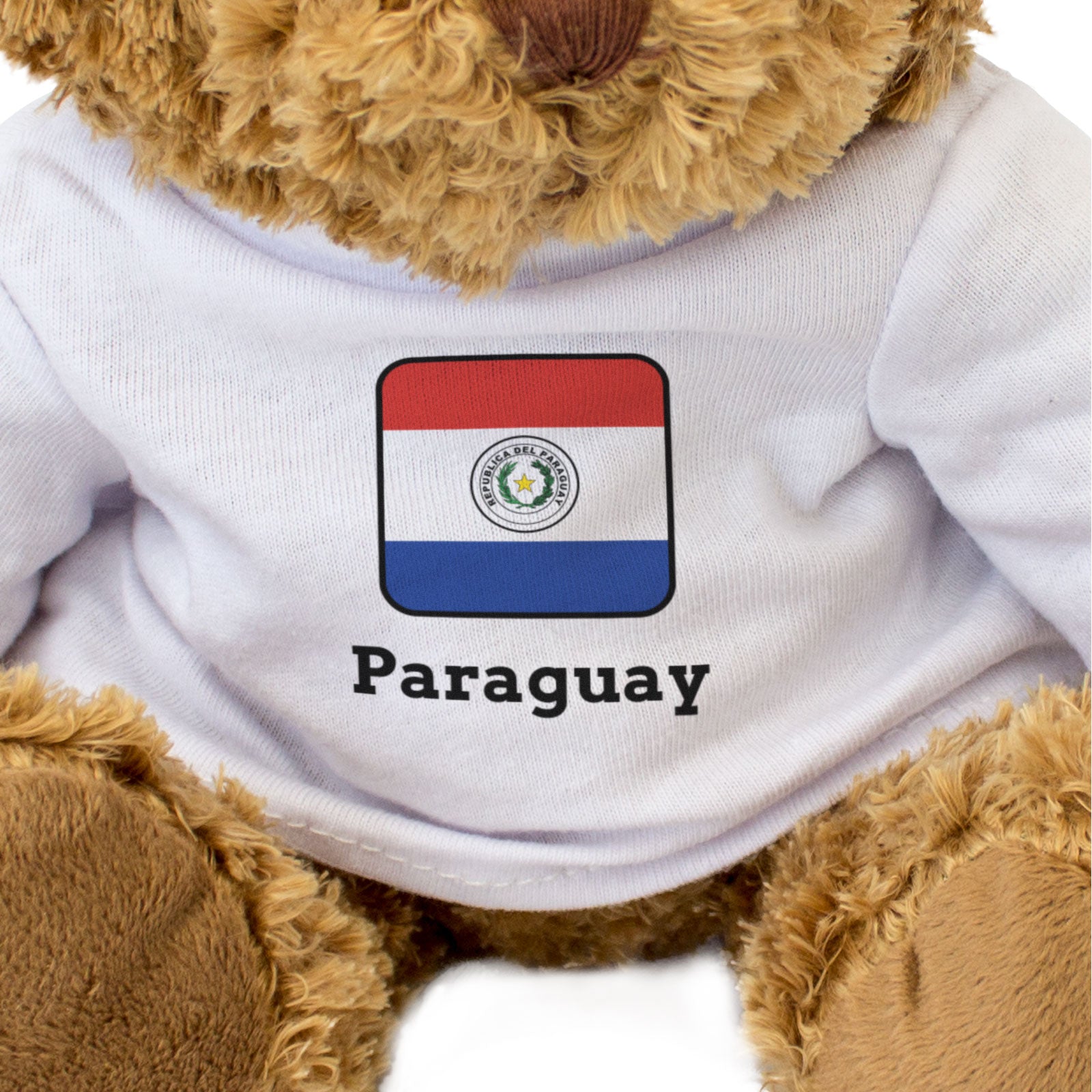 PARAGUAY FLAG SQUARE - Teddy Bear - Cute - Paraguayan Souvenir Gift Present