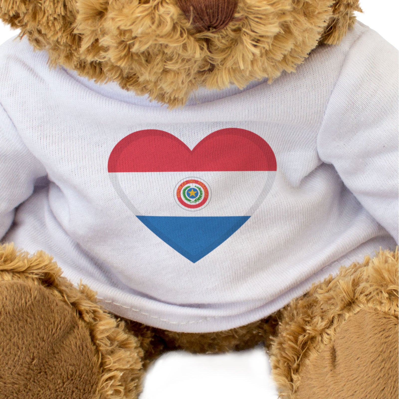 PARAGUAY FLAG HEART - Teddy Bear - Cute Cuddly Soft - Paraguayan Gift Present