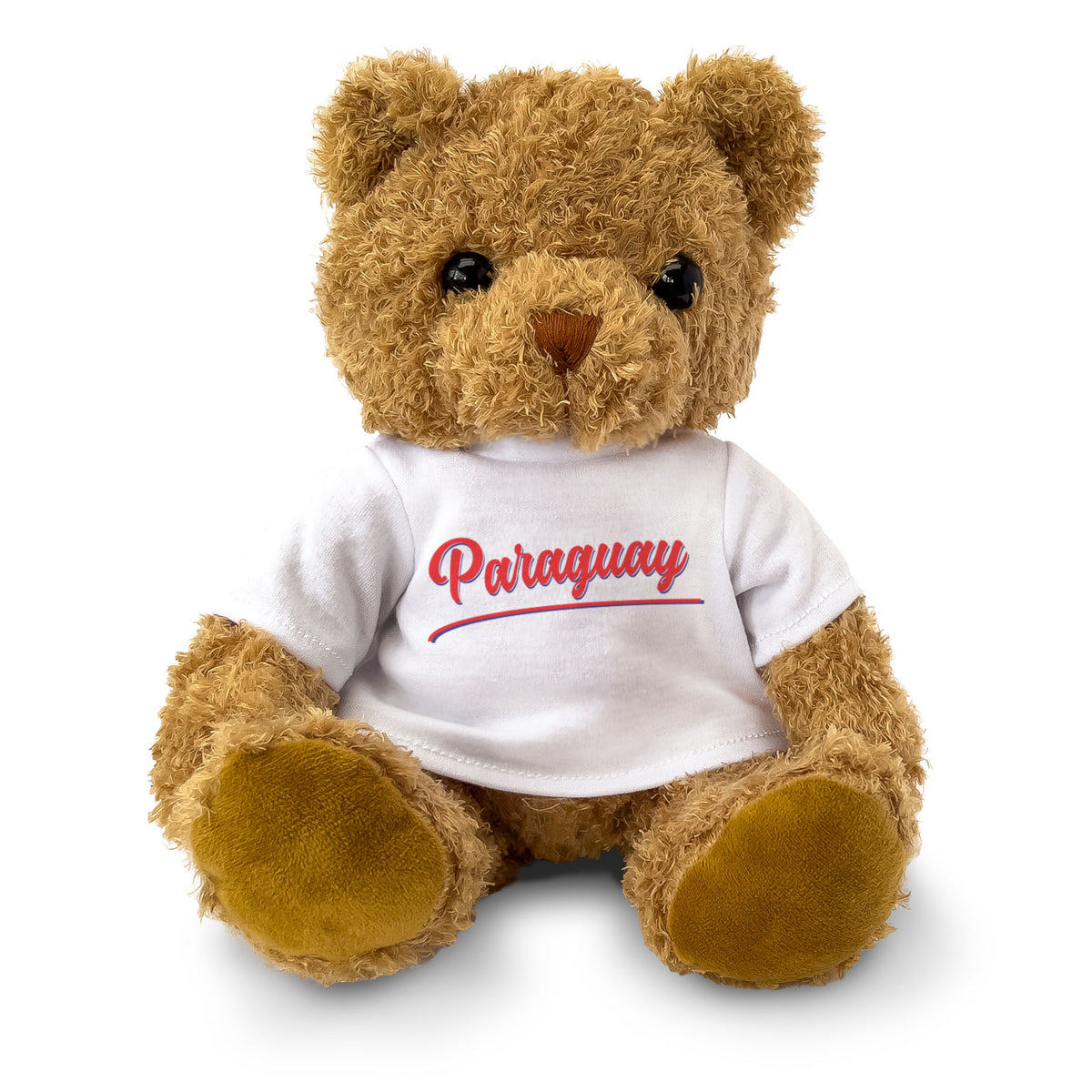 PARAGUAY (SCRIPT) - Teddy Bear - Cute - Funny Paraguayan Souvenir Gift Present