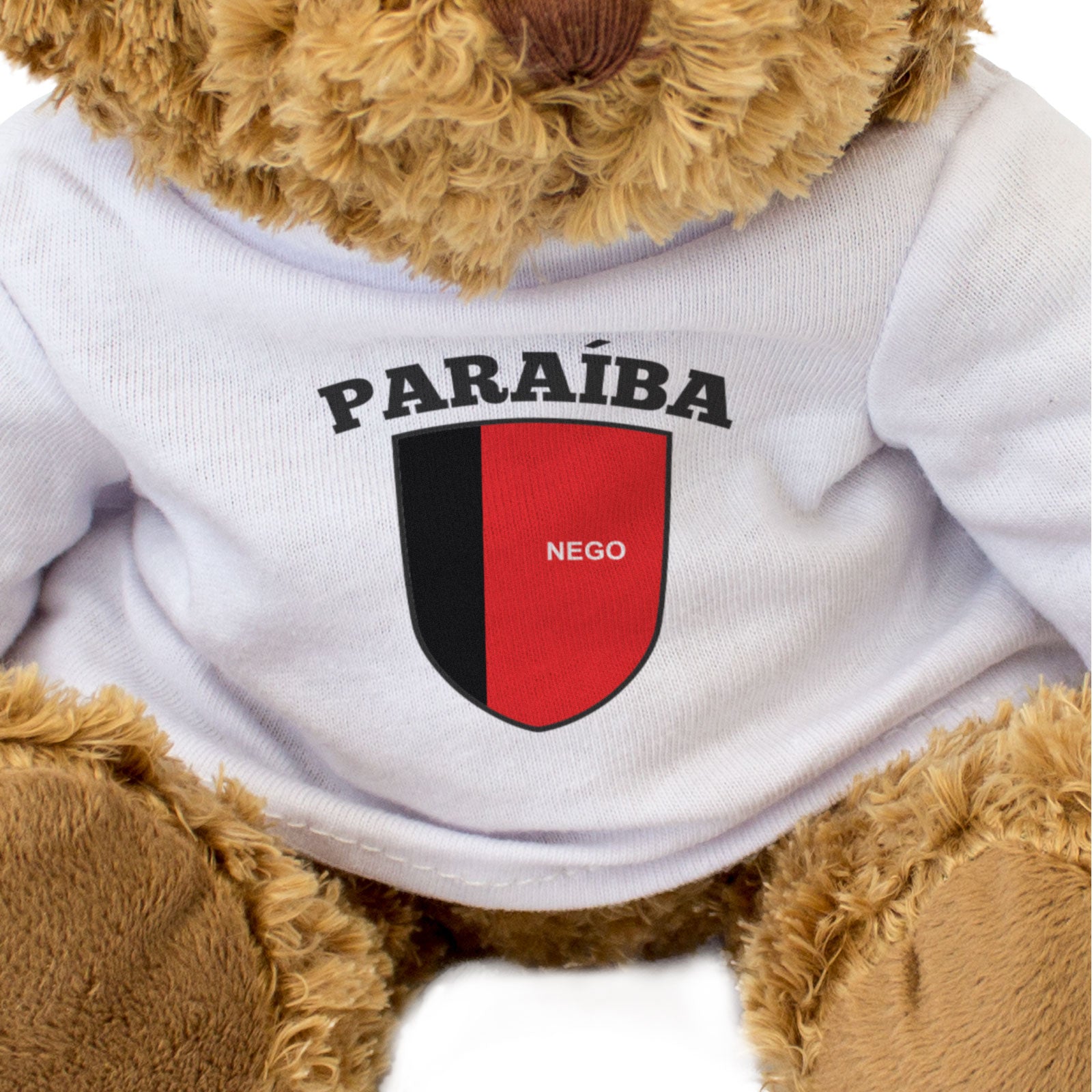 PARAÍBA FLAG - Teddy Bear - Cute Cuddly Soft Adorable - Brazil Gift Present