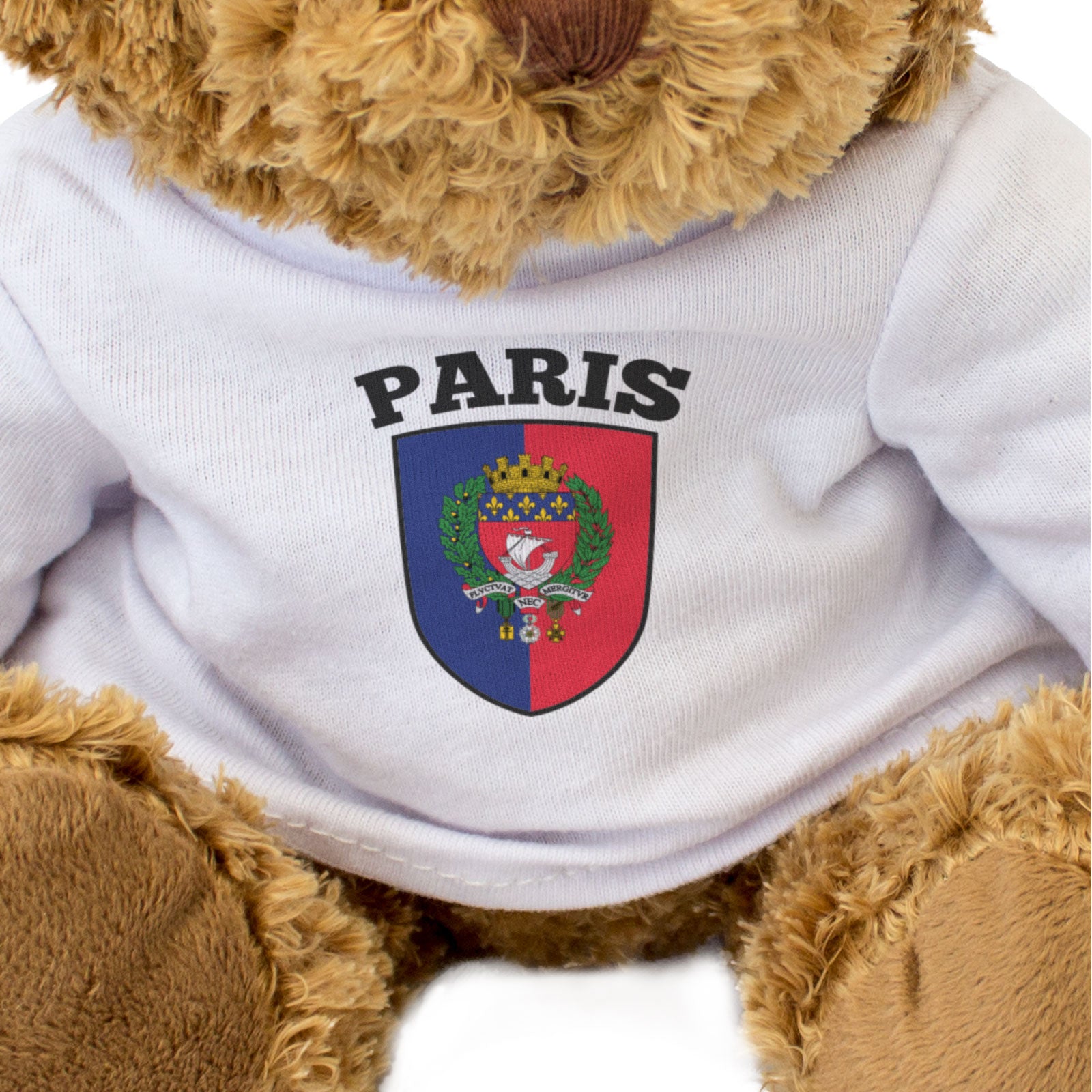 PARIS FLAG - Teddy Bear - Cute Cuddly Soft Adorable - France Gift Present