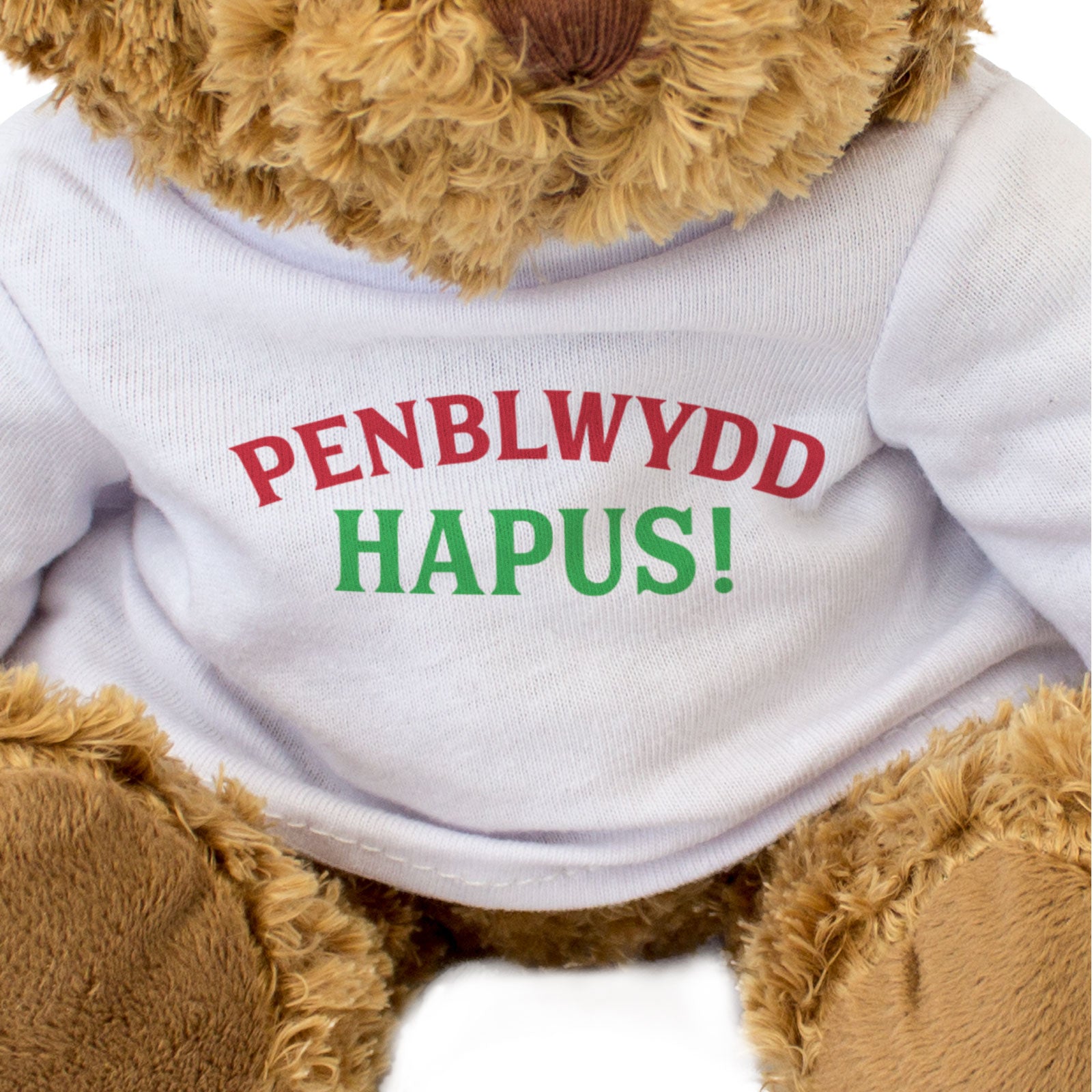 PENBLWYDD HAPUS - Teddy Bear - Cute - Happy Birthday in Welsh Gift Present