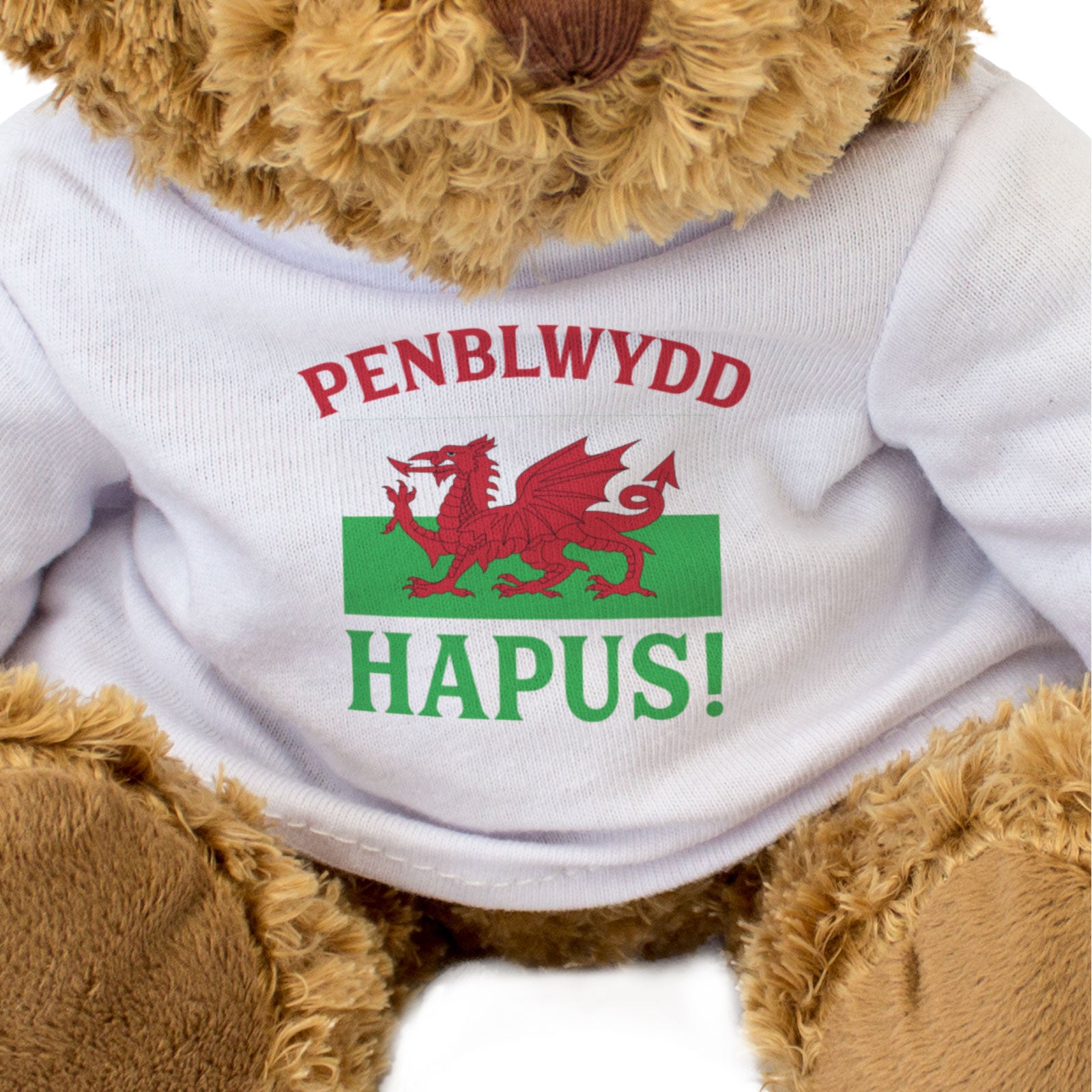 PENBLWYDD HAPUS (WALES FLAG) - Teddy Bear - Happy Birthday in Welsh Gift Present