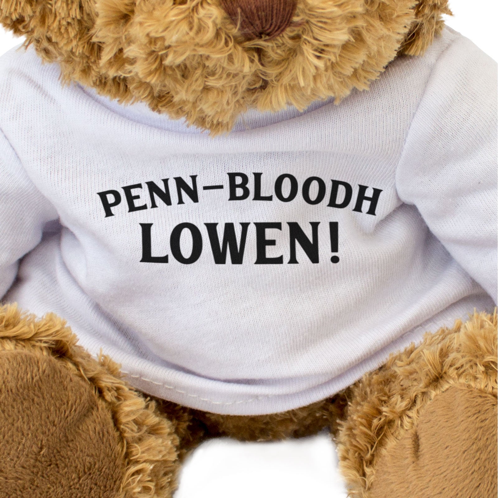 PENN-BLOODH LOWEN! - Teddy Bear - Cute - Happy Birthday in Cornish Gift Present
