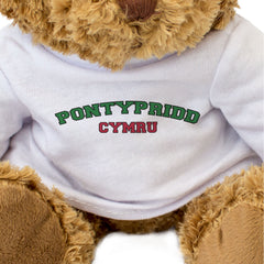PONTYPRIDD, CYMRU - Teddy Bear - Cute Cuddly Soft - Welsh Gift Present