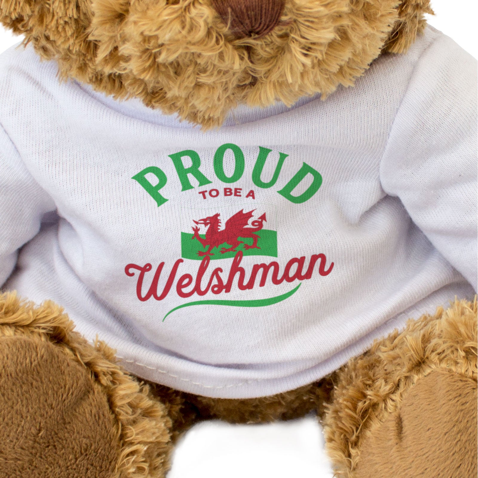 PROUD TO BE A WELSHMAN - Teddy Bear - Cute Cuddly Soft - Wales Gift Present