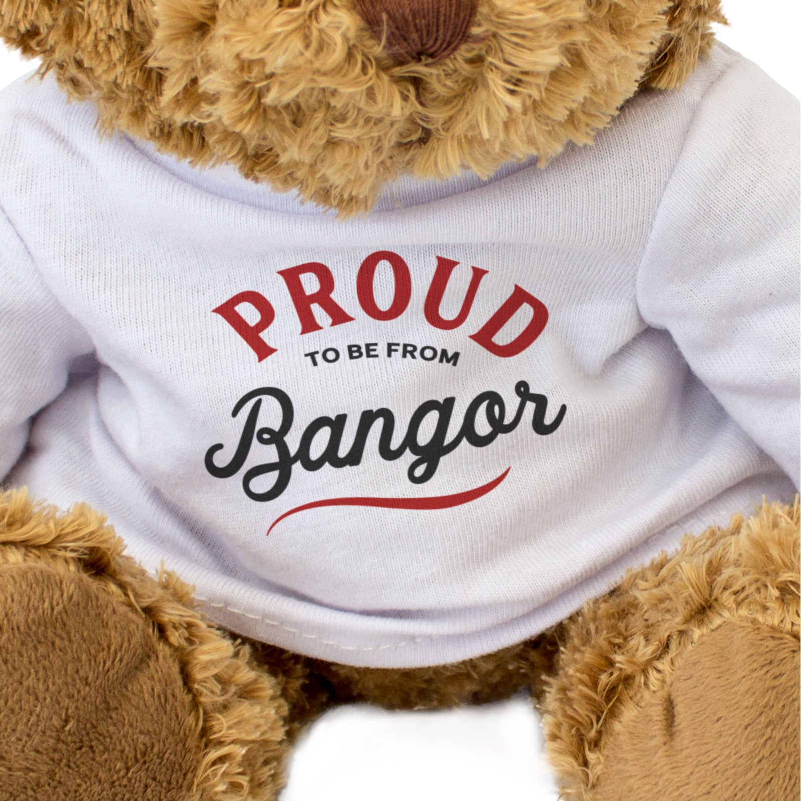 PROUD TO BE FROM BANGOR - Teddy Bear - Cute Cuddly Soft Adorable - Gift Present