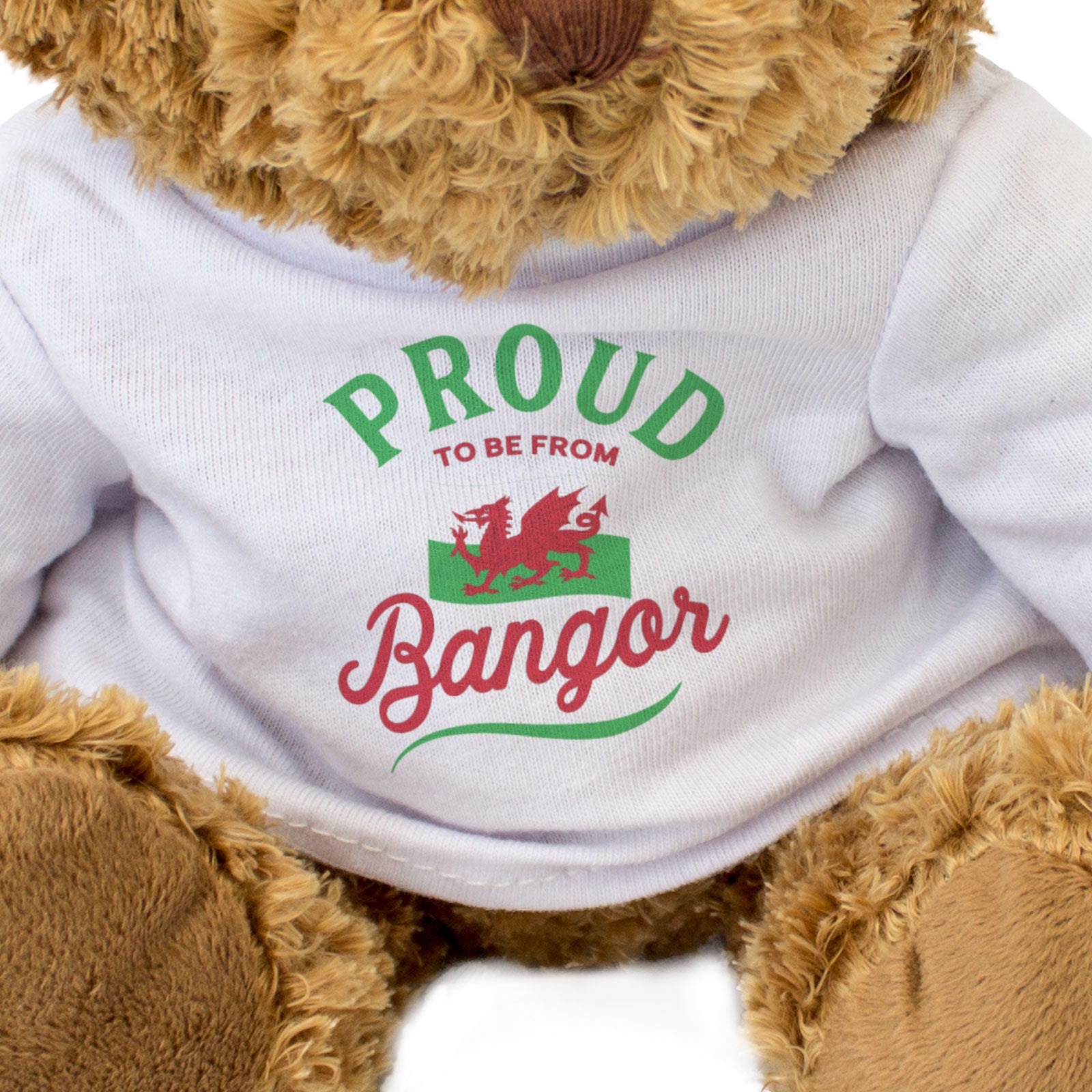 PROUD TO BE FROM BANGOR (WALES FLAG) - Teddy Bear - Cute - Welsh Gift Present