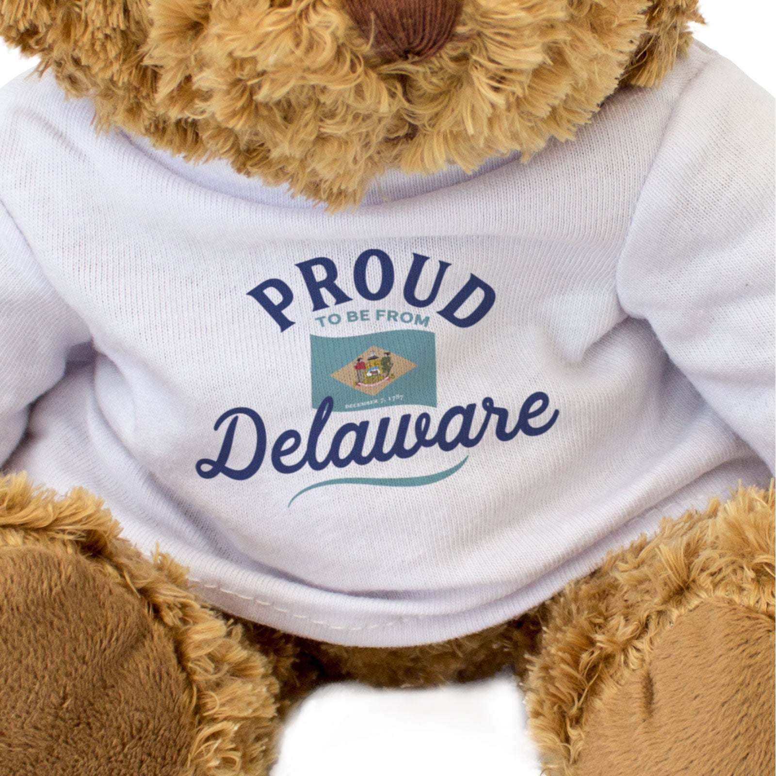 PROUD TO BE FROM DELAWARE - Teddy Bear - Cute Cuddly Soft - Gift Present