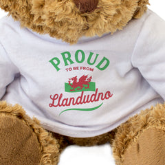 PROUD TO BE FROM LLANDUDNO (WALES FLAG) - Teddy Bear - Cute - Welsh Gift Present
