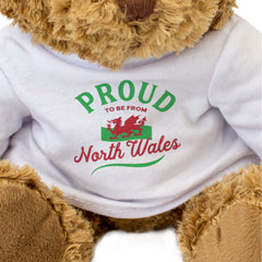 PROUD TO BE FROM NORTH WALES - Teddy Bear - Cute Cuddly - Welsh Gift Present