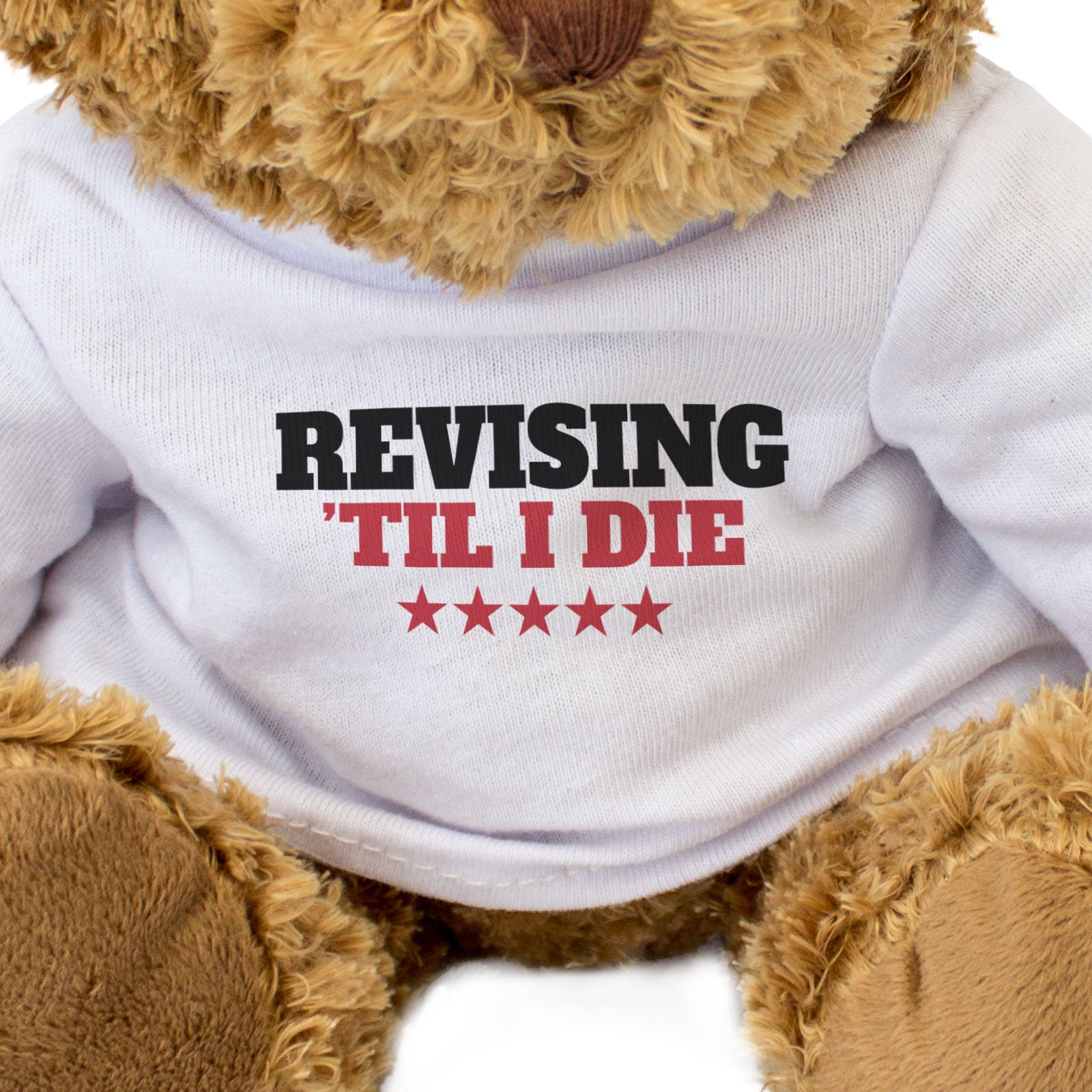 REVISING TIL I DIE - Teddy Bear - Cute Cuddly Soft - Funny Exams Gift Present