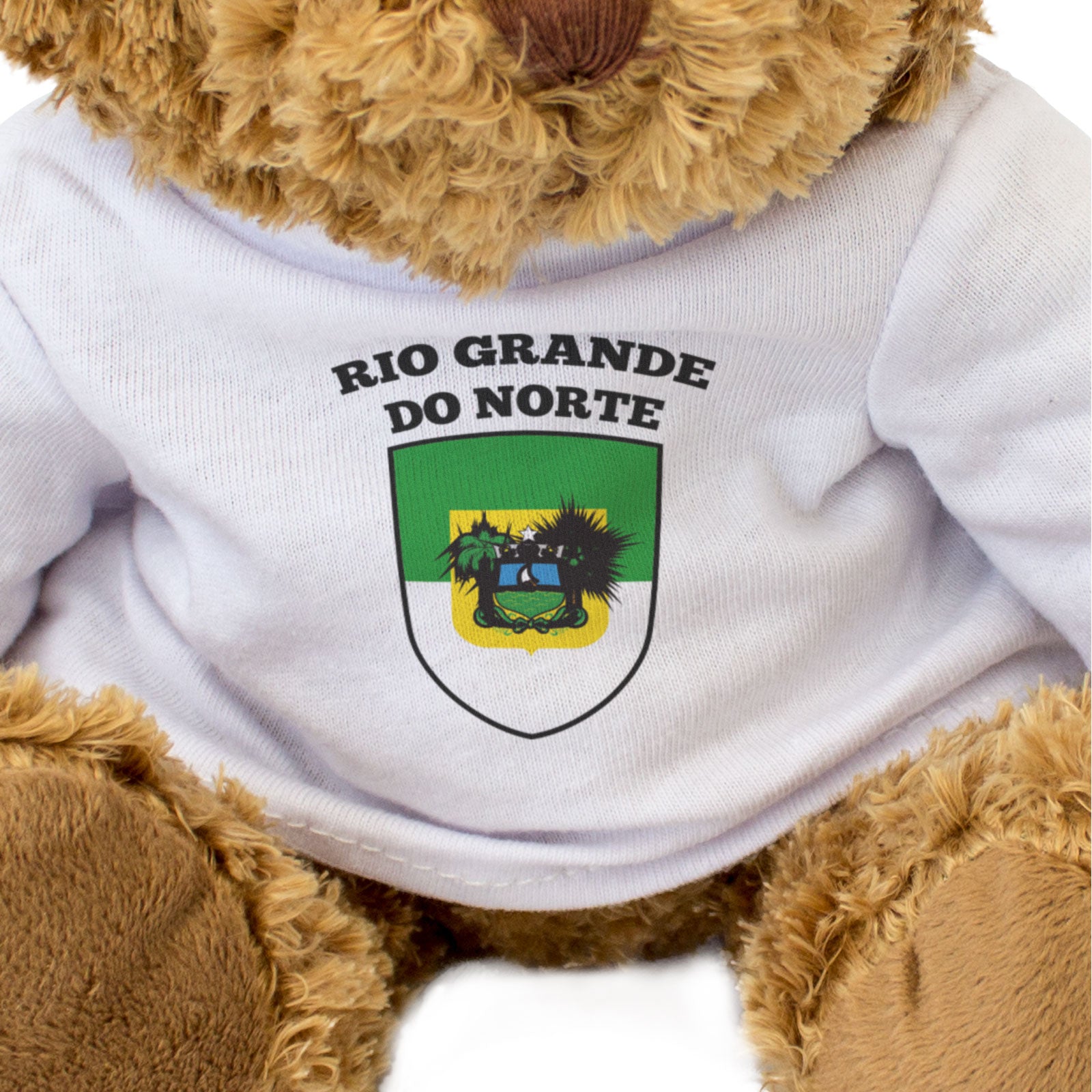 RIO GRANDE DO NORTE FLAG - Teddy Bear - Cute Cuddly Soft - Brazil Gift Present