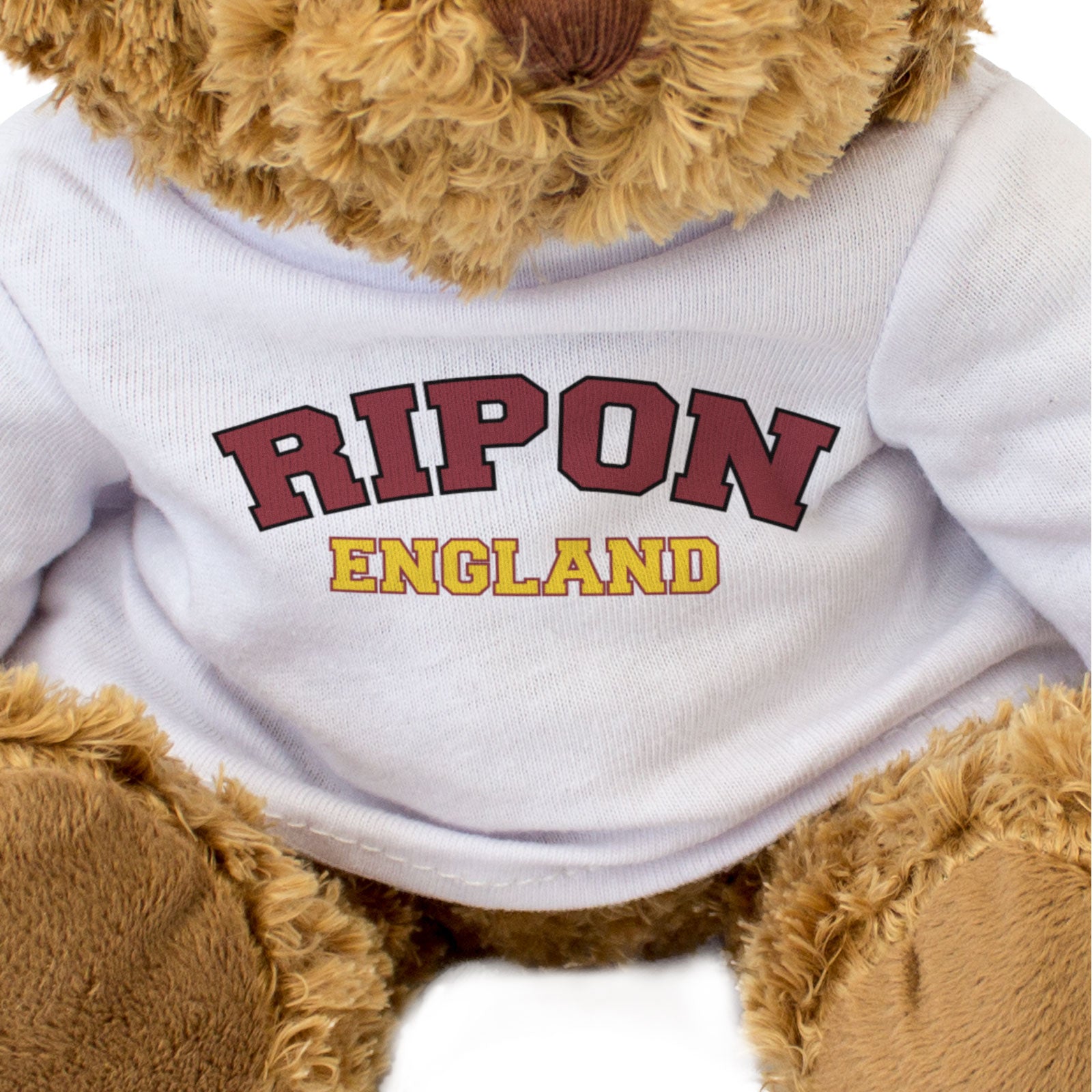 RIPON, ENGLAND - Teddy Bear - Cute Cuddly Soft - Funny Yorkshire Gift Present