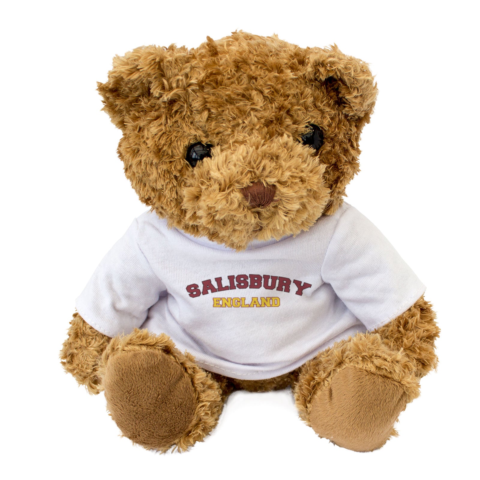 SALISBURY, ENGLAND - Teddy Bear - Cute Cuddly - Funny Wiltshire Gift Present