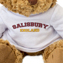 SALISBURY, ENGLAND - Teddy Bear - Cute Cuddly - Funny Wiltshire Gift Present