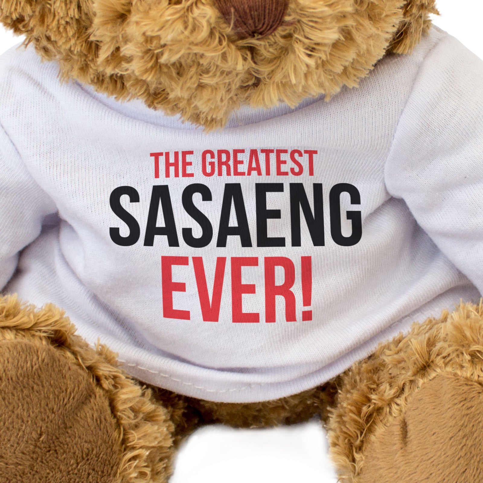 THE GREATEST SASAENG EVER - Teddy Bear - Funny Korean K-Pop Fan Gift Present