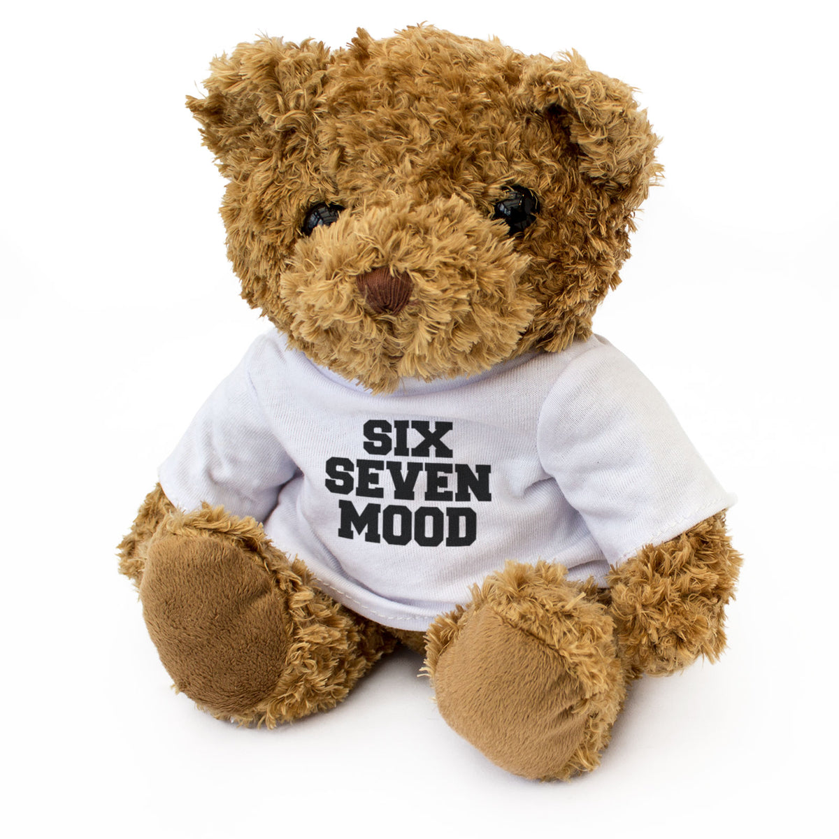 SIX SEVEN MOOD - Teddy Bear - Cute Soft - Gen Z Gen Alpha Funny Gift Present