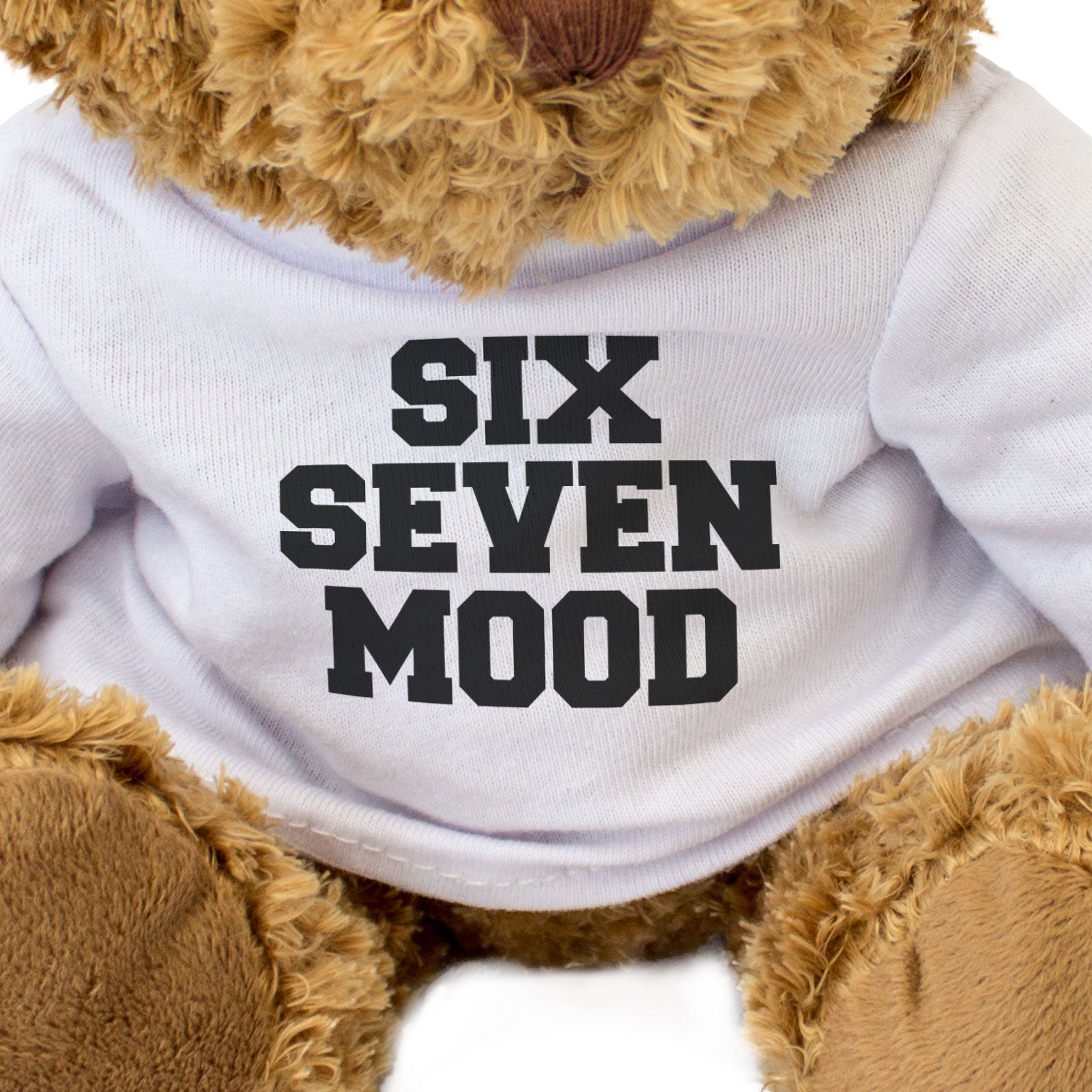 SIX SEVEN MOOD - Teddy Bear - Cute Soft - Gen Z Gen Alpha Funny Gift Present