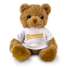 SOMERSET (SCRIPT) - Teddy Bear - Cute Soft - Funny England Souvenir Gift Present