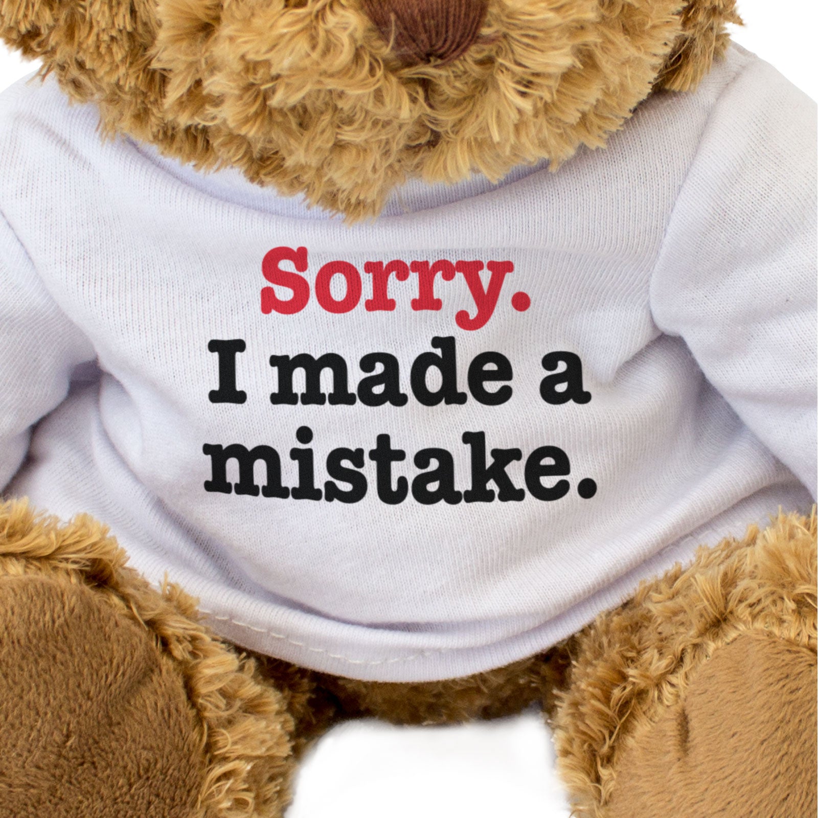 SORRY I MADE A MISTAKE - Teddy Bear - Cute Cuddly Soft - Apology Gift Present
