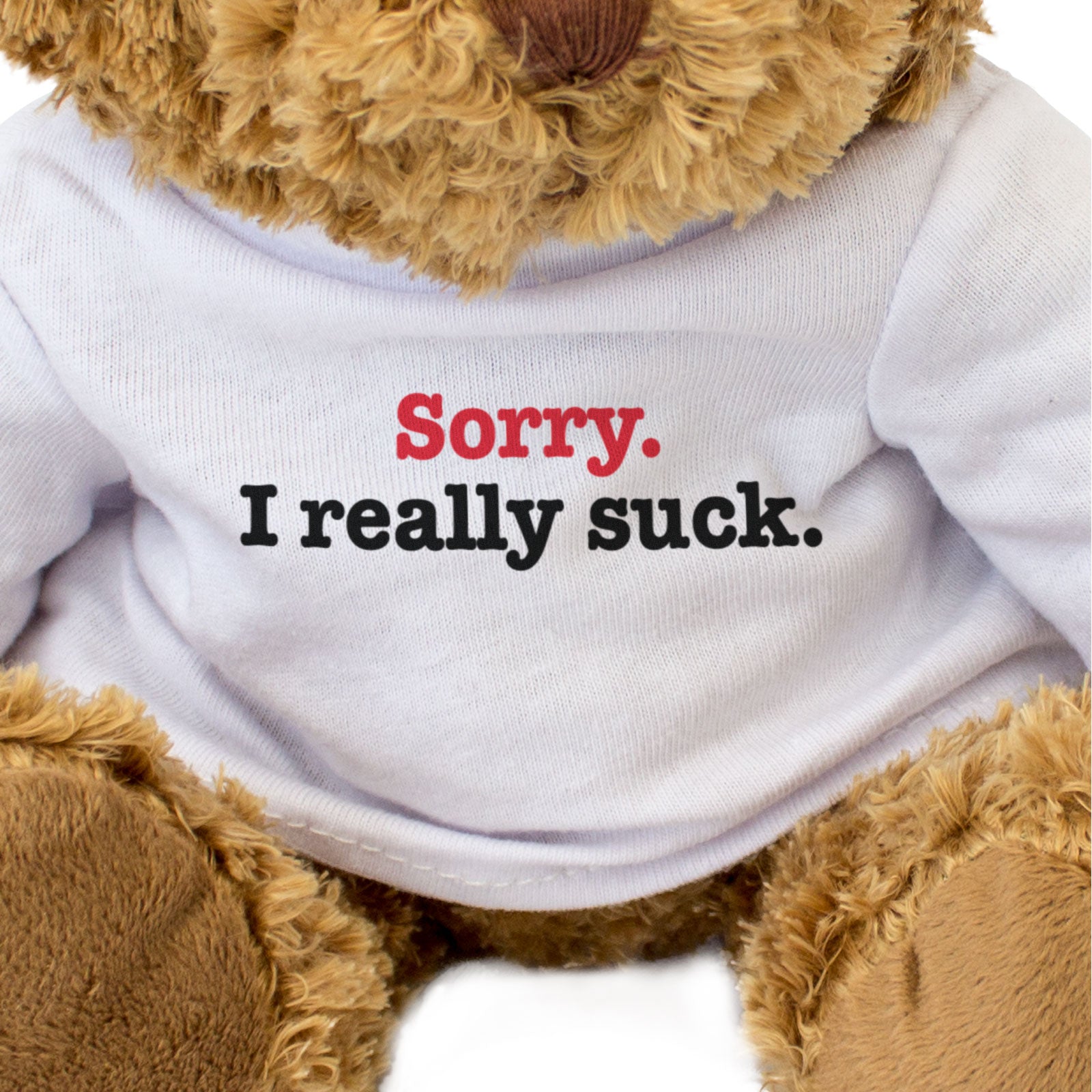SORRY I REALLY SUCK - Teddy Bear - Cute Cuddly Soft Funny - Apology Gift Present