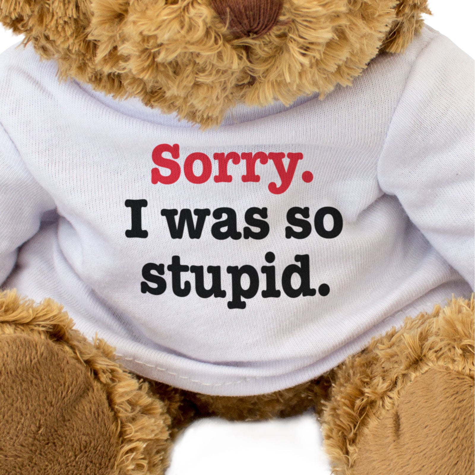 SORRY I WAS SO STUPID - Teddy Bear - Cute Cuddly Soft - Apology Gift Present