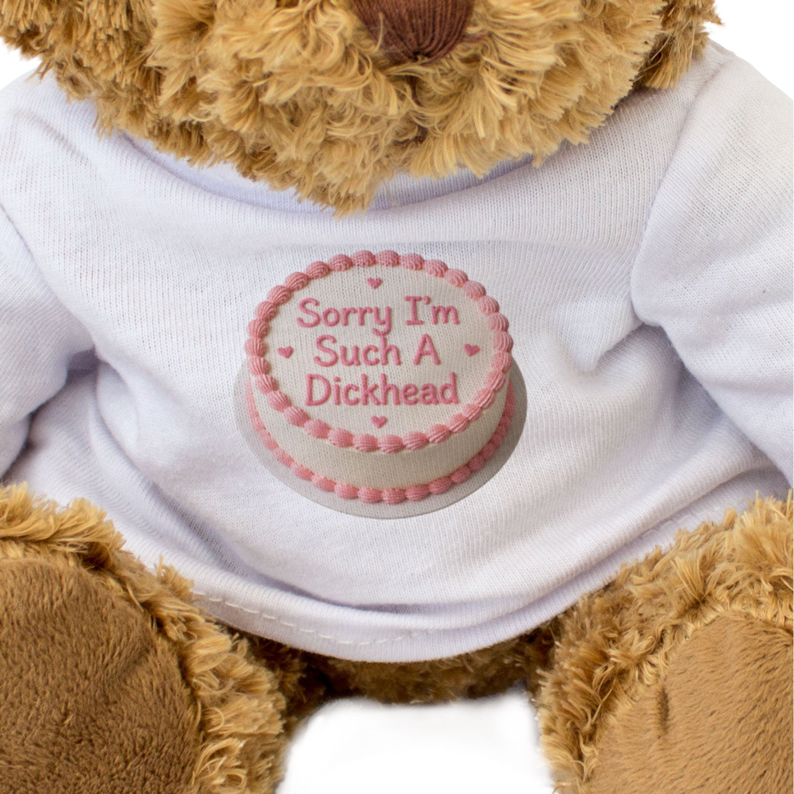 SORRY I'M SUCH A DICKHEAD (CAKE) - Teddy Bear - Cute - Apology Gift Present