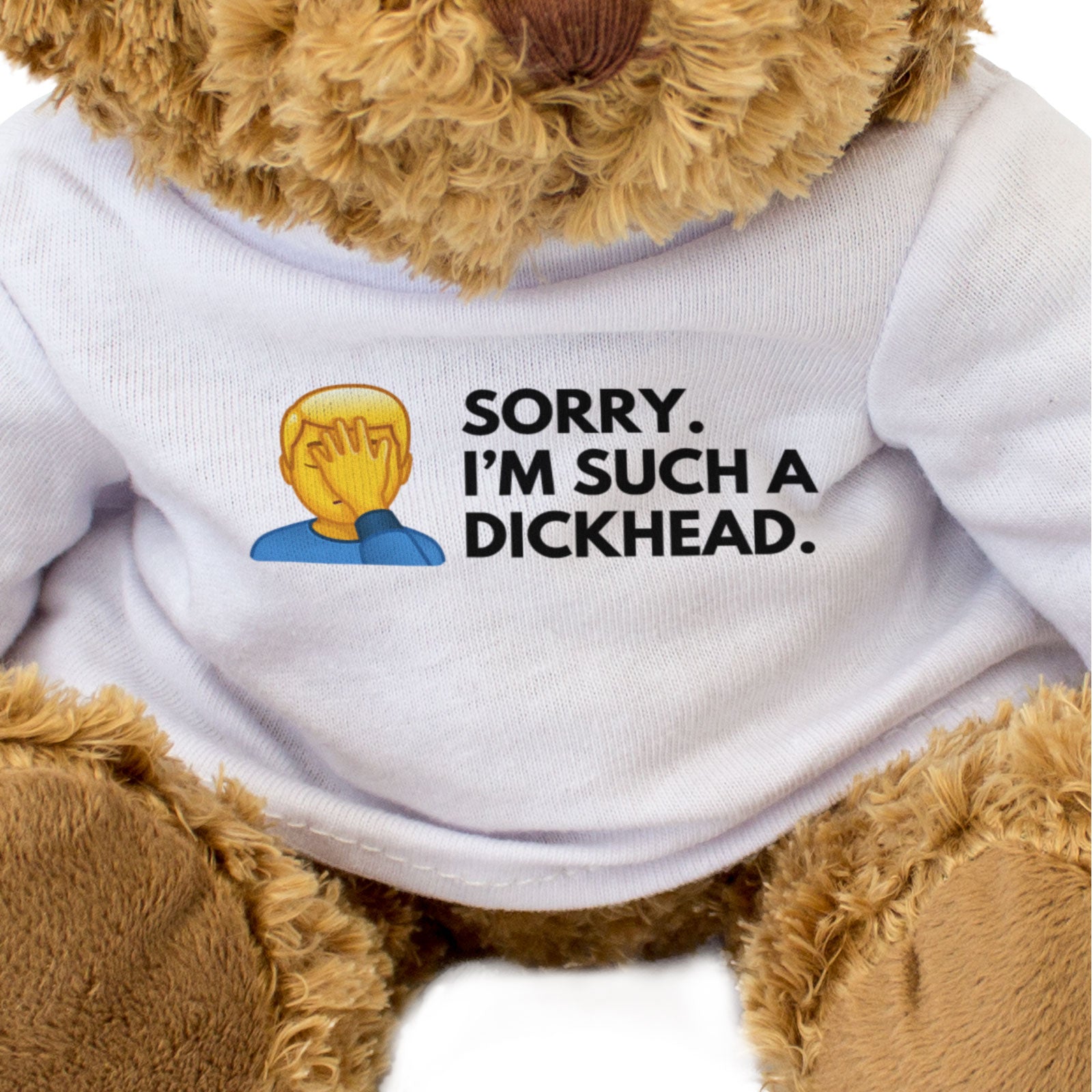 SORRY I'M SUCH A DICKHEAD (FACEPALM) - Teddy Bear - Cute - Apology Gift Present