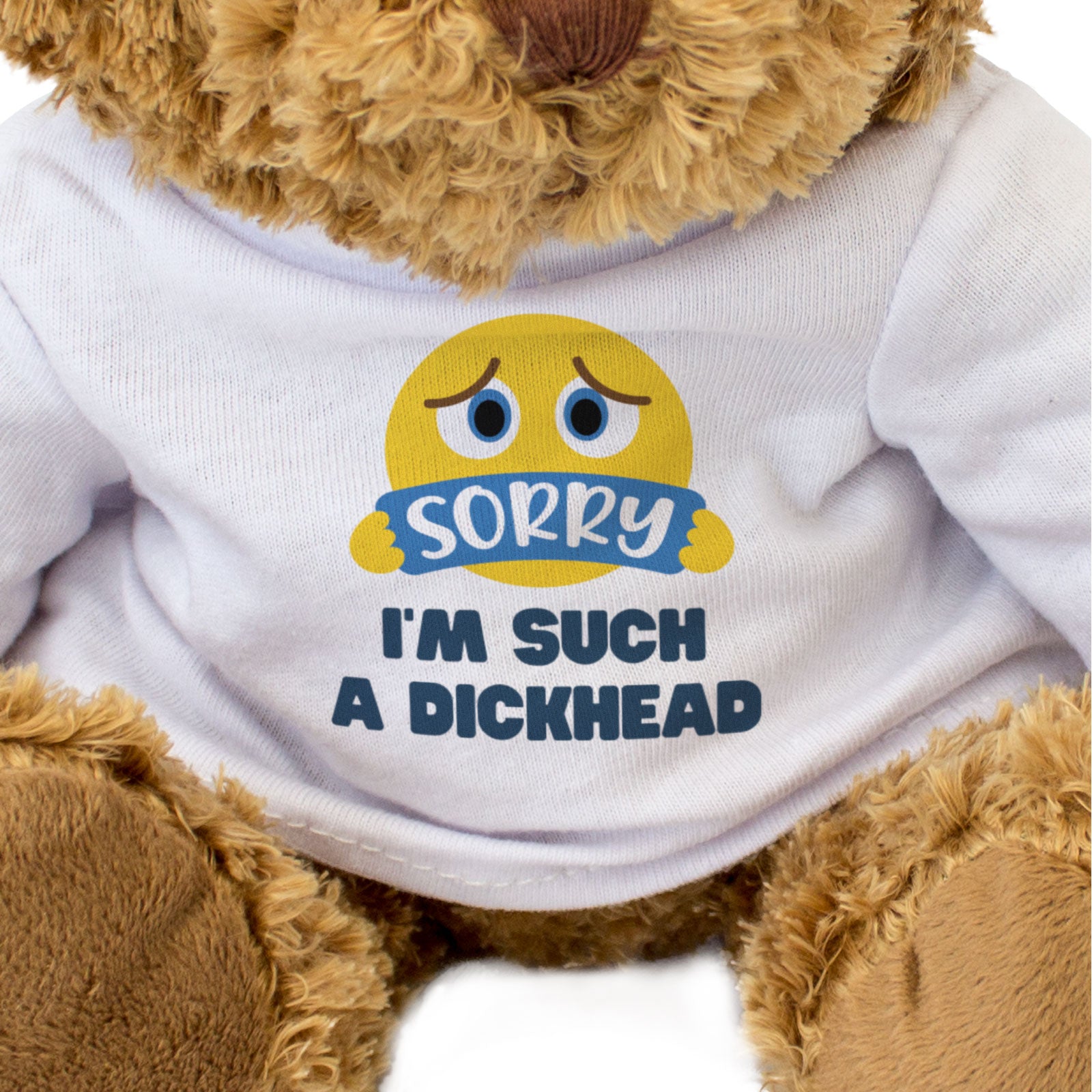 SORRY I'M SUCH A DICKHEAD (SORRY FACE) - Teddy Bear - Cute Apology Gift Present