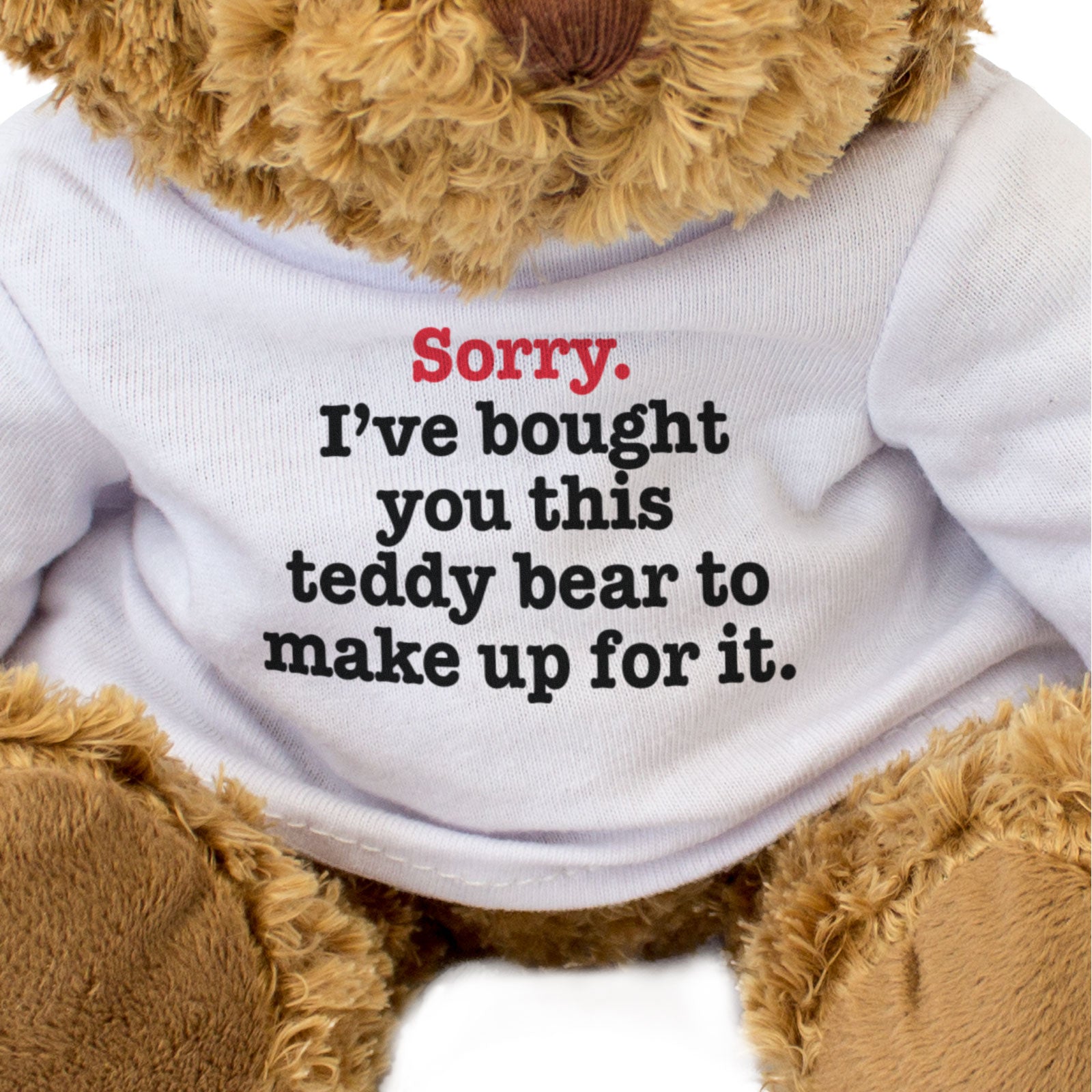 SORRY I'VE BOUGHT YOU THIS TEDDY BEAR TO MAKE UP FOR IT - Apology Teddy Bear