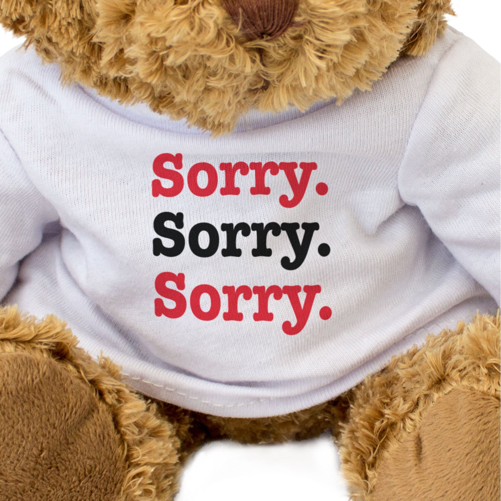 SORRY SORRY SORRY - Teddy Bear - Cute Cuddly Soft Funny - Apology Gift Present