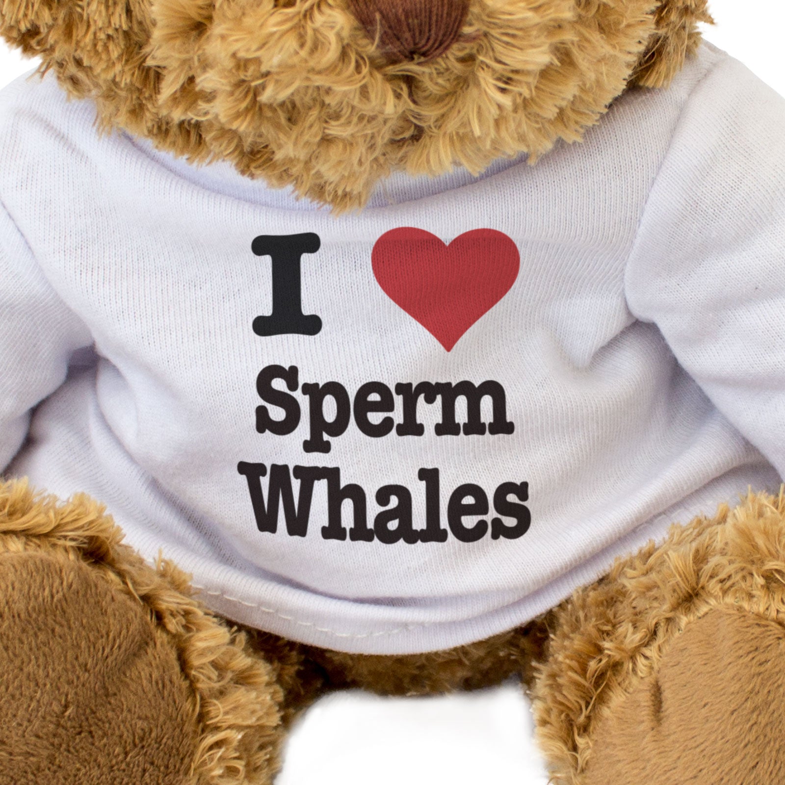 I LOVE SPERM WHALES - Teddy Bear - Cute Cuddly Soft Adorable - Gift Present