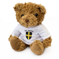 ST. DAVID FLAG - Teddy Bear - Cute Cuddly Soft Adorable - Wales Gift Present