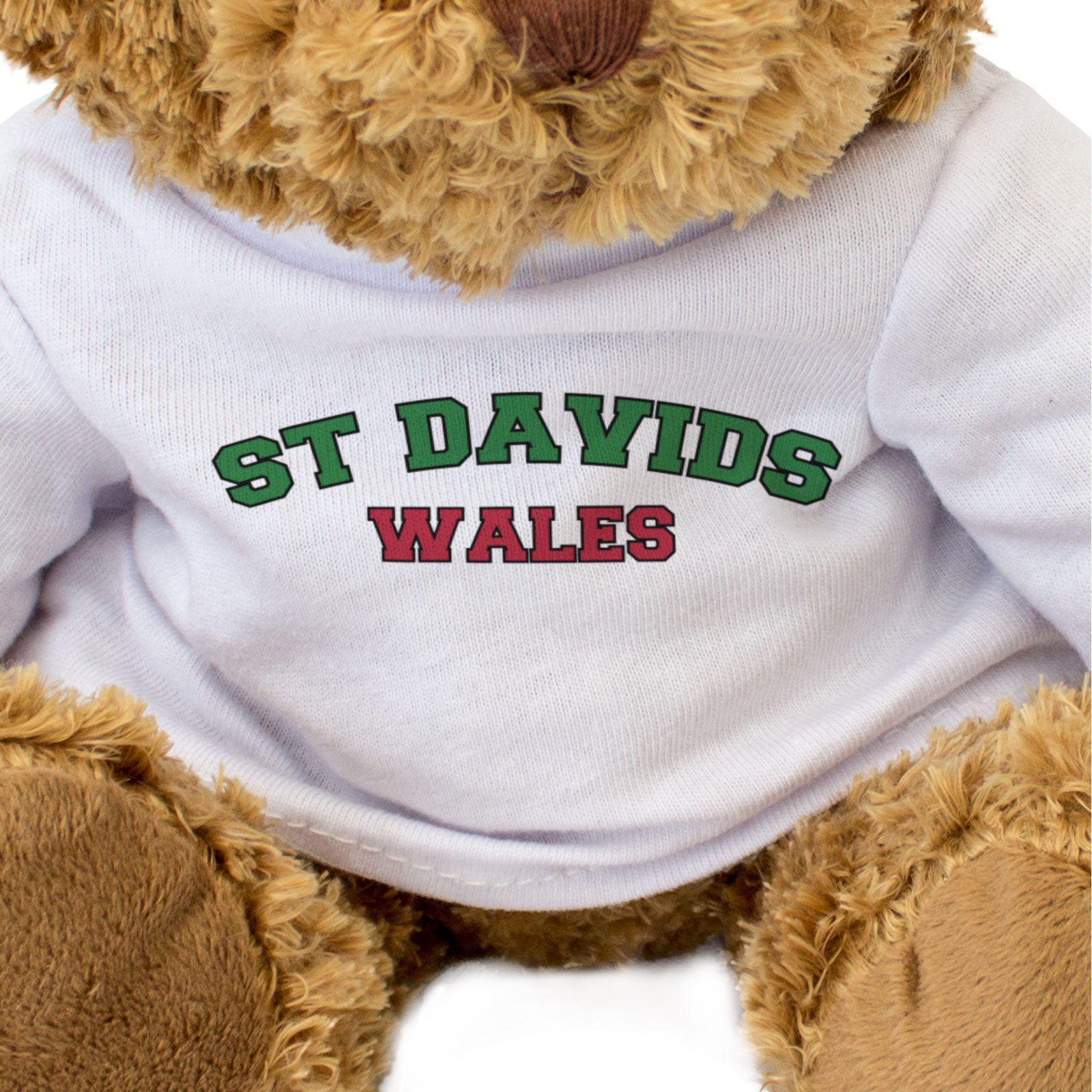 ST DAVIDS, WALES - Teddy Bear - Cute Cuddly Soft Adorable - Welsh Gift Present