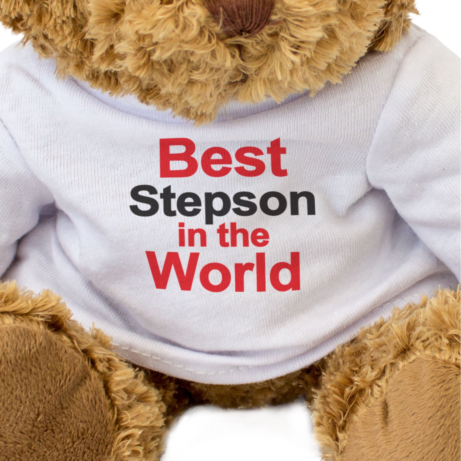 BEST STEPSON IN THE WORLD - Teddy Bear - Cute Cuddly Soft - Gift Present