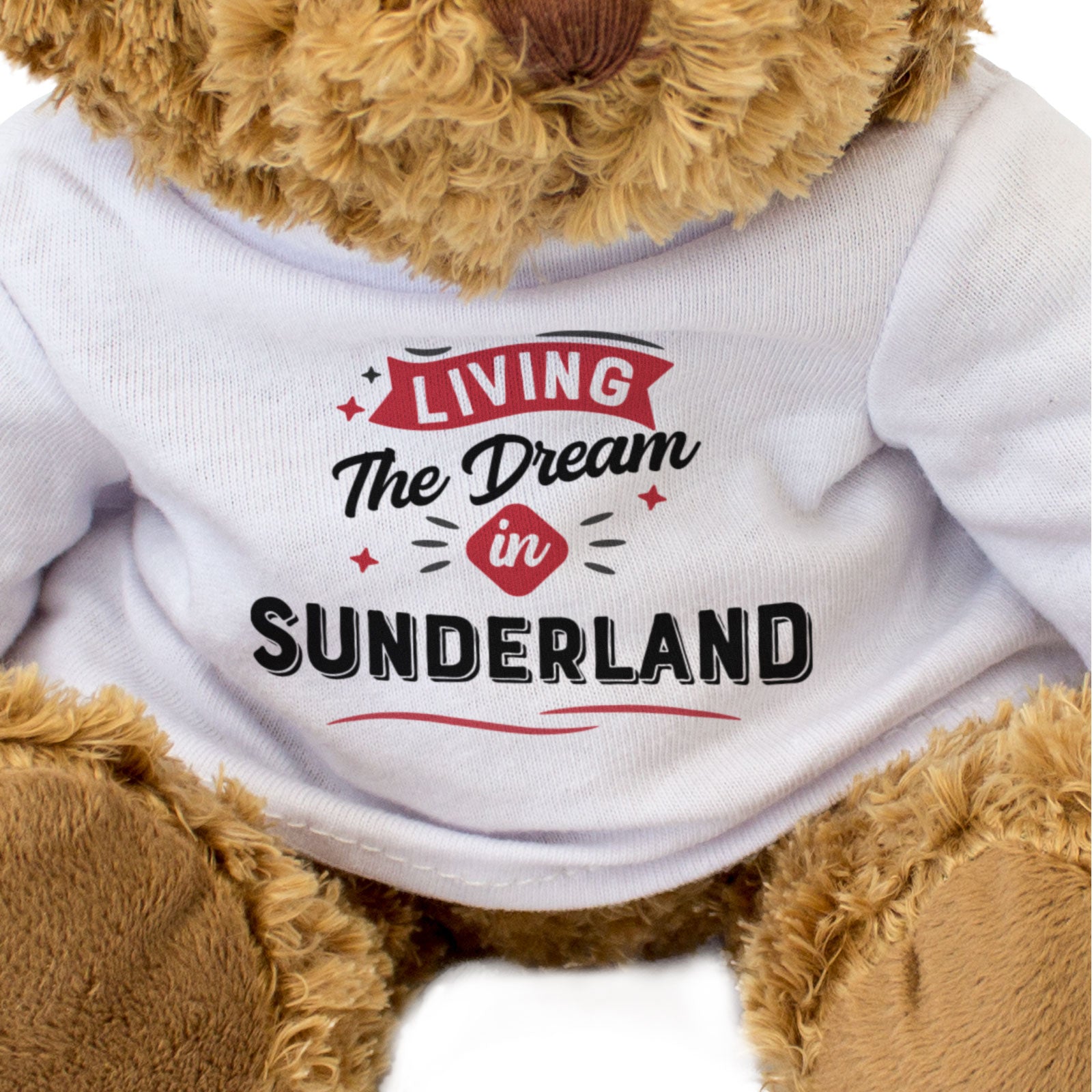 LIVING THE DREAM IN SUNDERLAND - Teddy Bear - Cute - Funny Wearside Gift Present