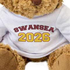 SWANSEA 2026 - Teddy Bear - Cute Cuddly Soft - Wales Graduation Gift Present