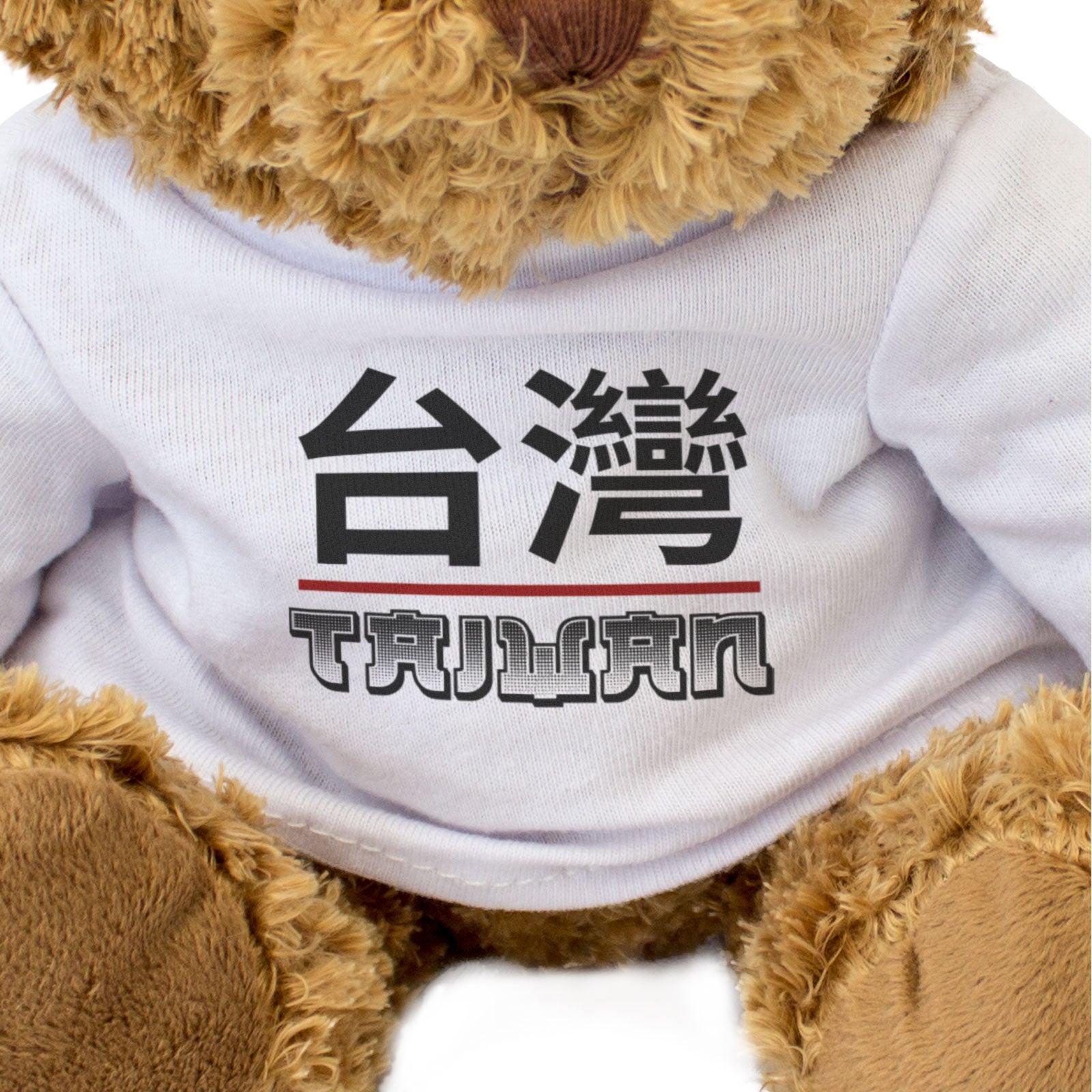 TAIWAN (台灣) - Teddy Bear - Cute Cuddly Soft Adorable - Souvenir Gift Present